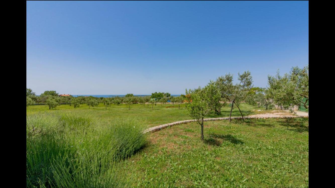 Vila Aleksandra
