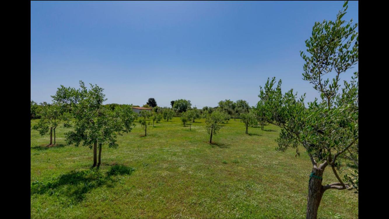 Vila Aleksandra