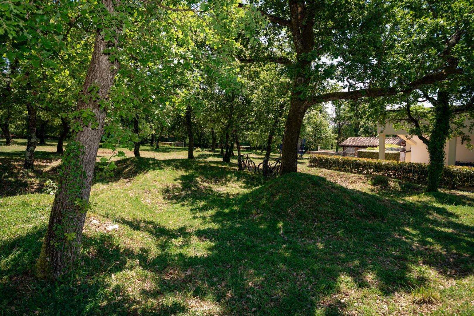 Bella Vista Poletti view 4