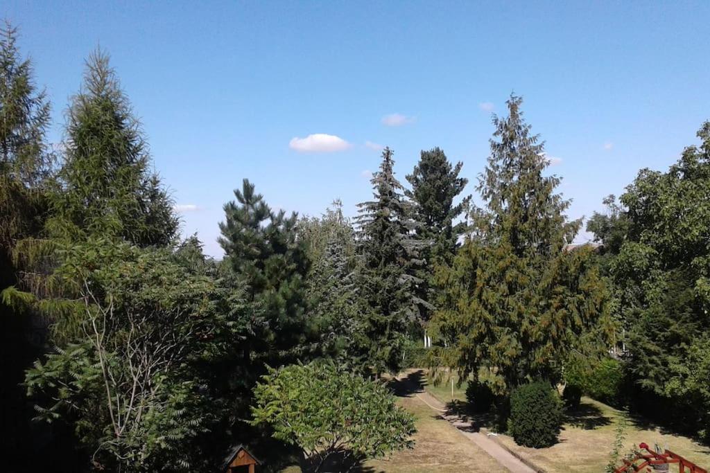 Ferienwohnung am Harz