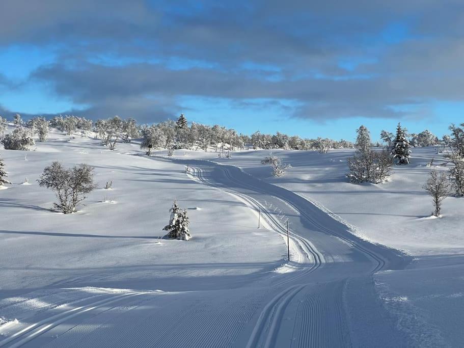 Exclusive cabin with stunning views in Geilo view 2