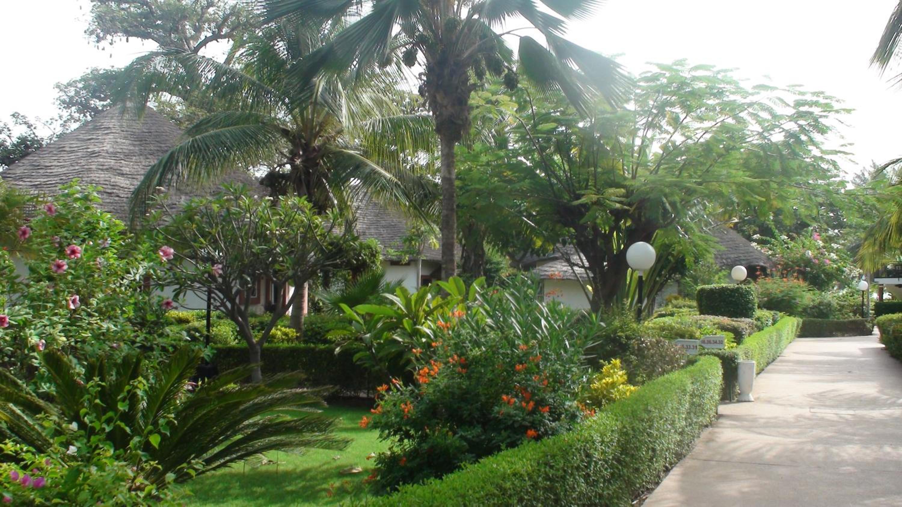 Teranga saly senegal