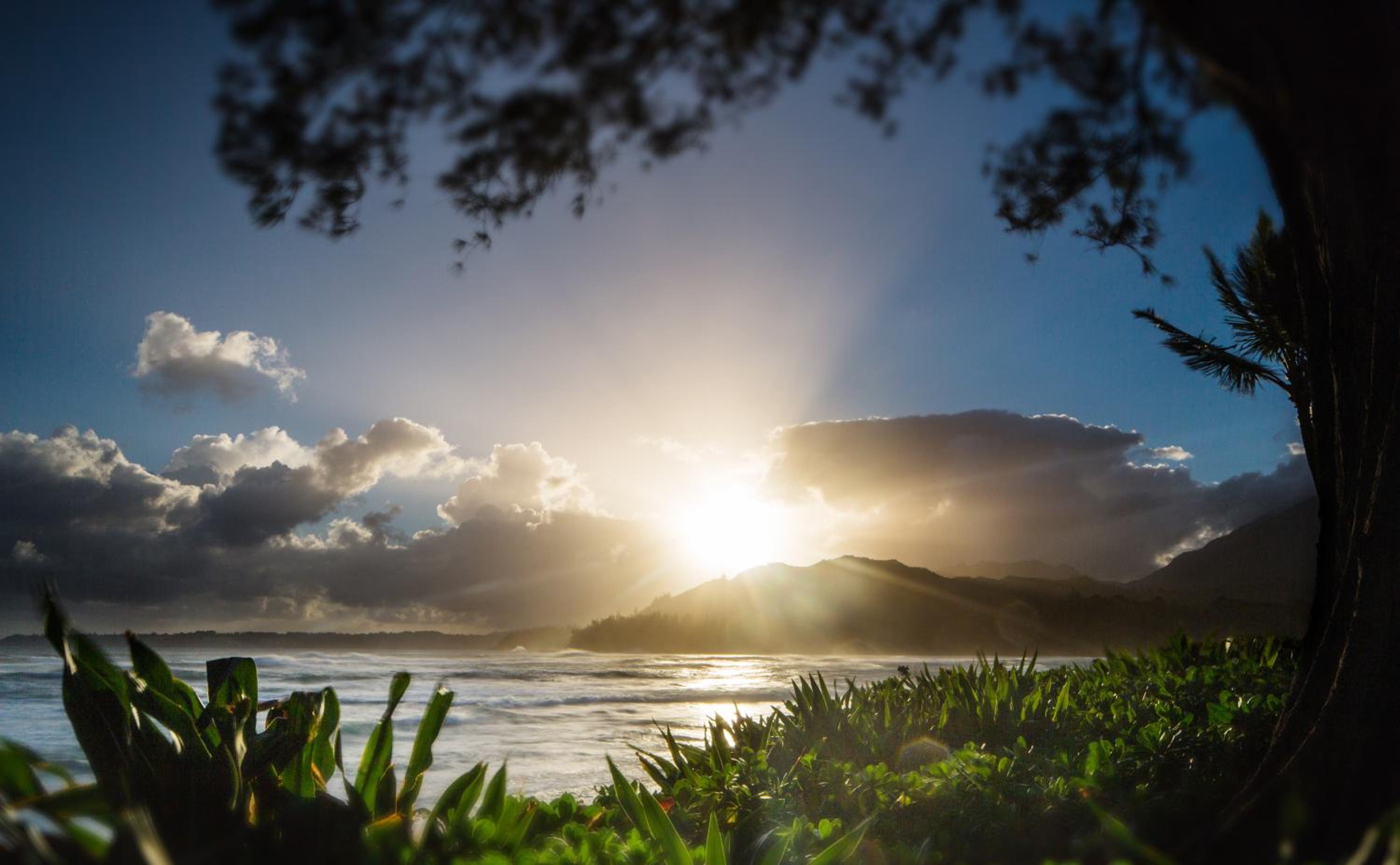 Hanalei Colony Resort 73