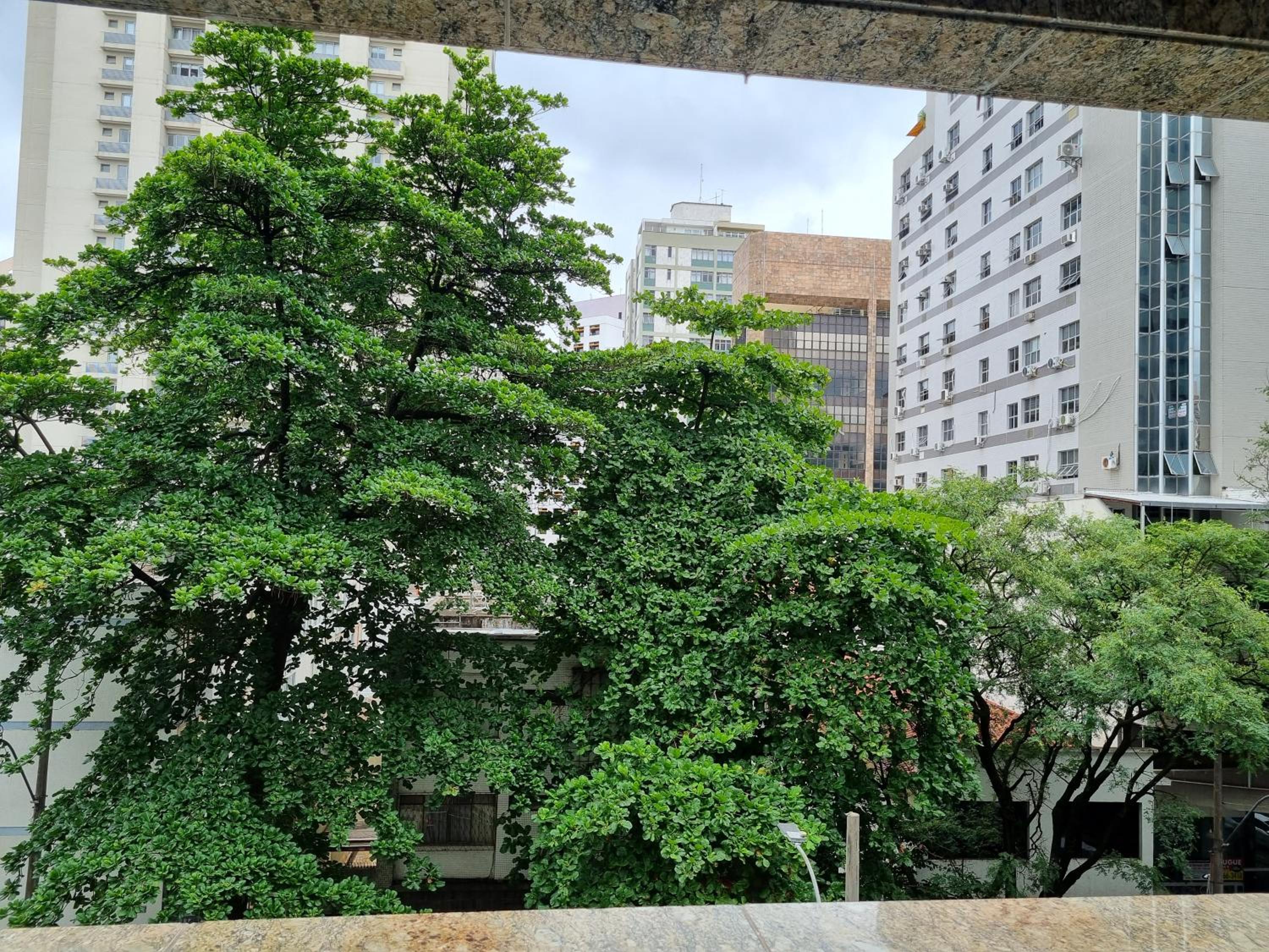 Sofisticação na Savassi