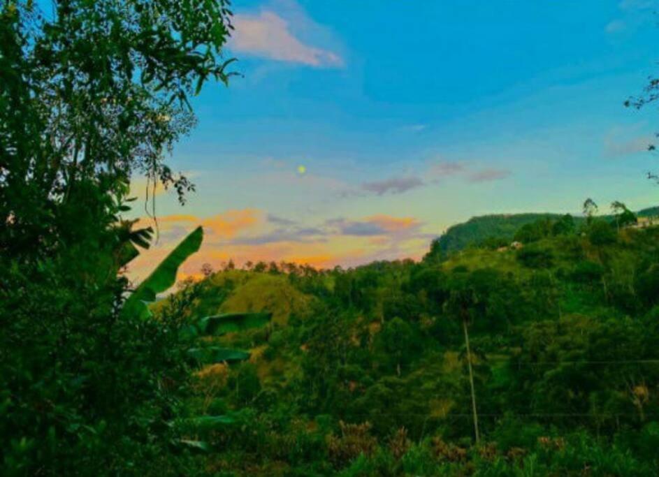 Hello Home The Nature Lodge Ella