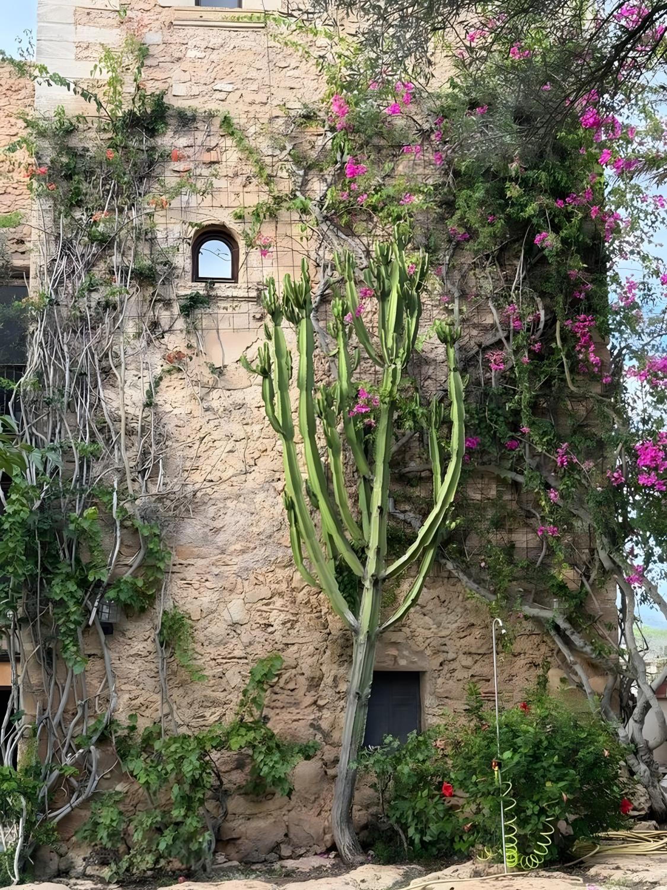 Finca Son Xona