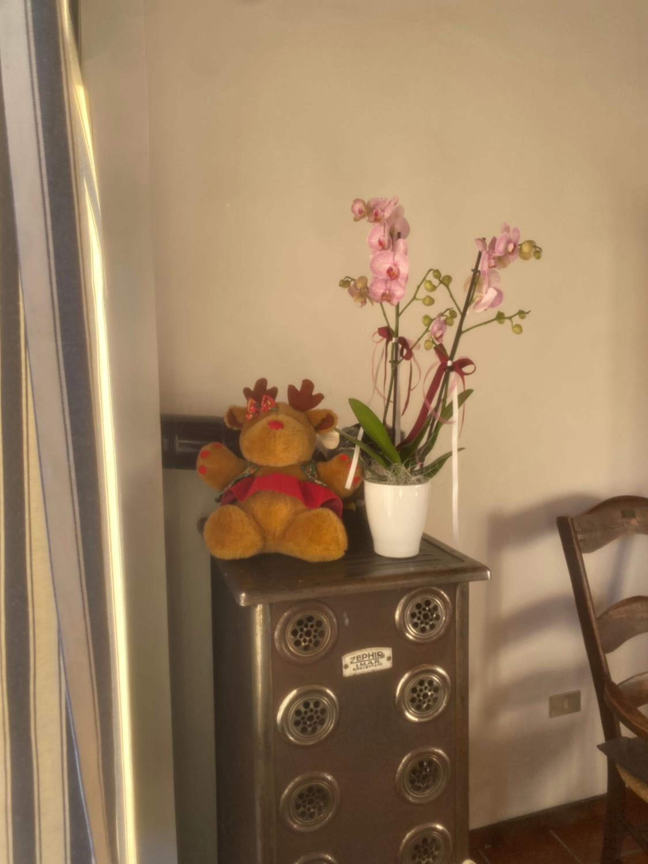 La casa di nonno carlo view 3