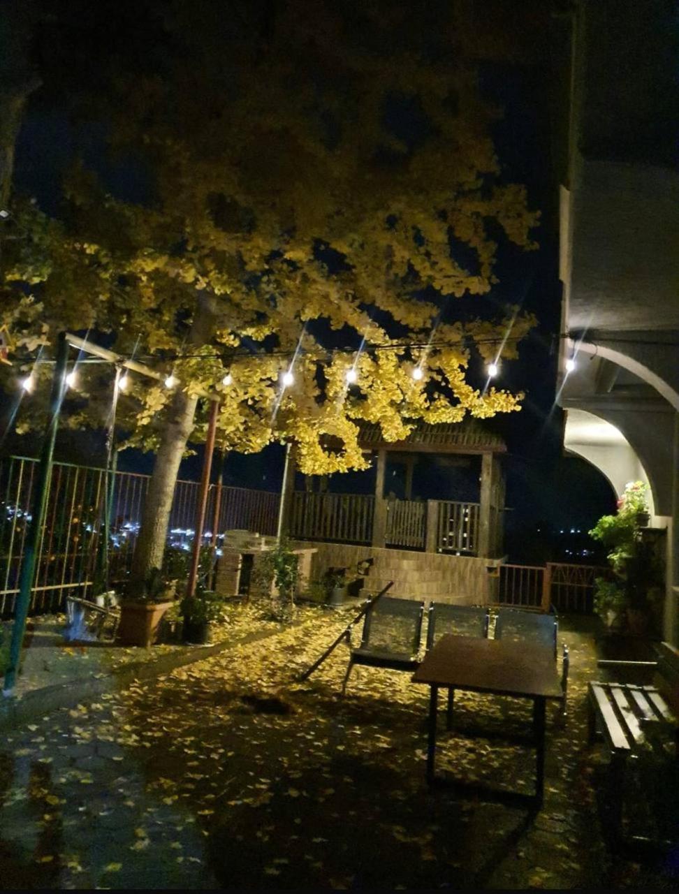 Photo 33