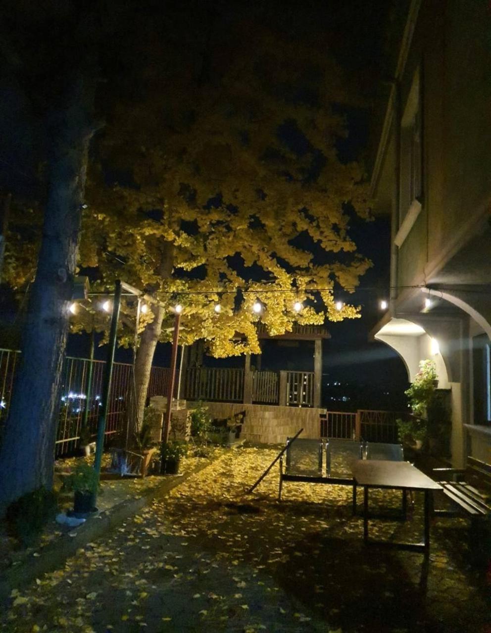 Photo 32