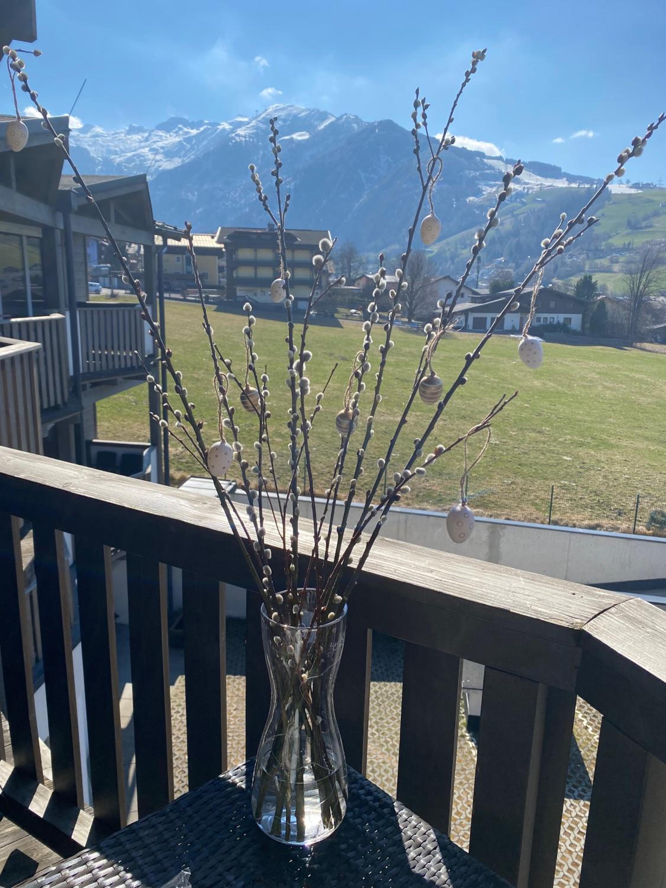 Apartment Lasch in Adler Resort including the Zell am see Kaprun summer card