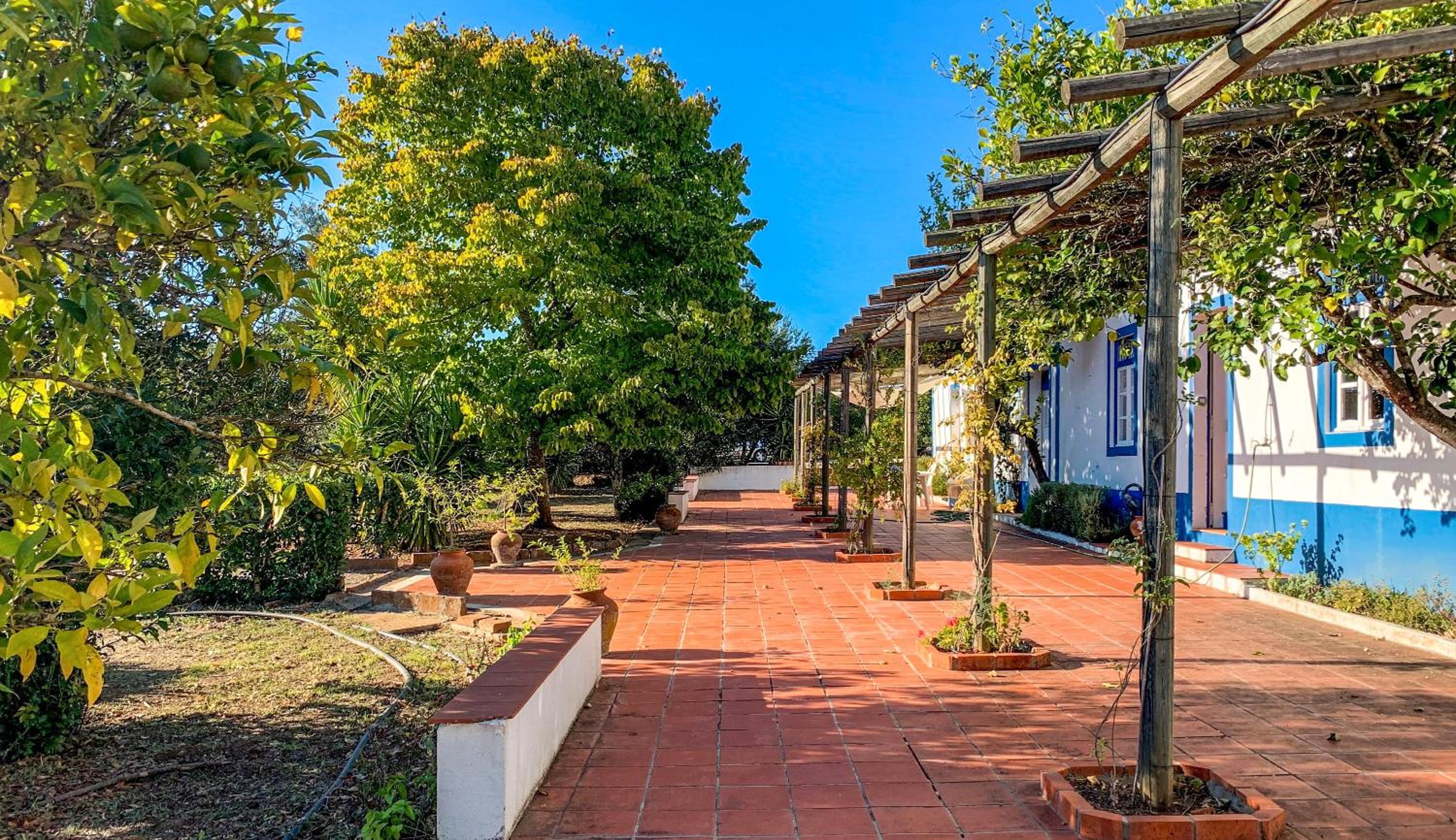 Quinta Do Céu - Refúgio no Alentejo