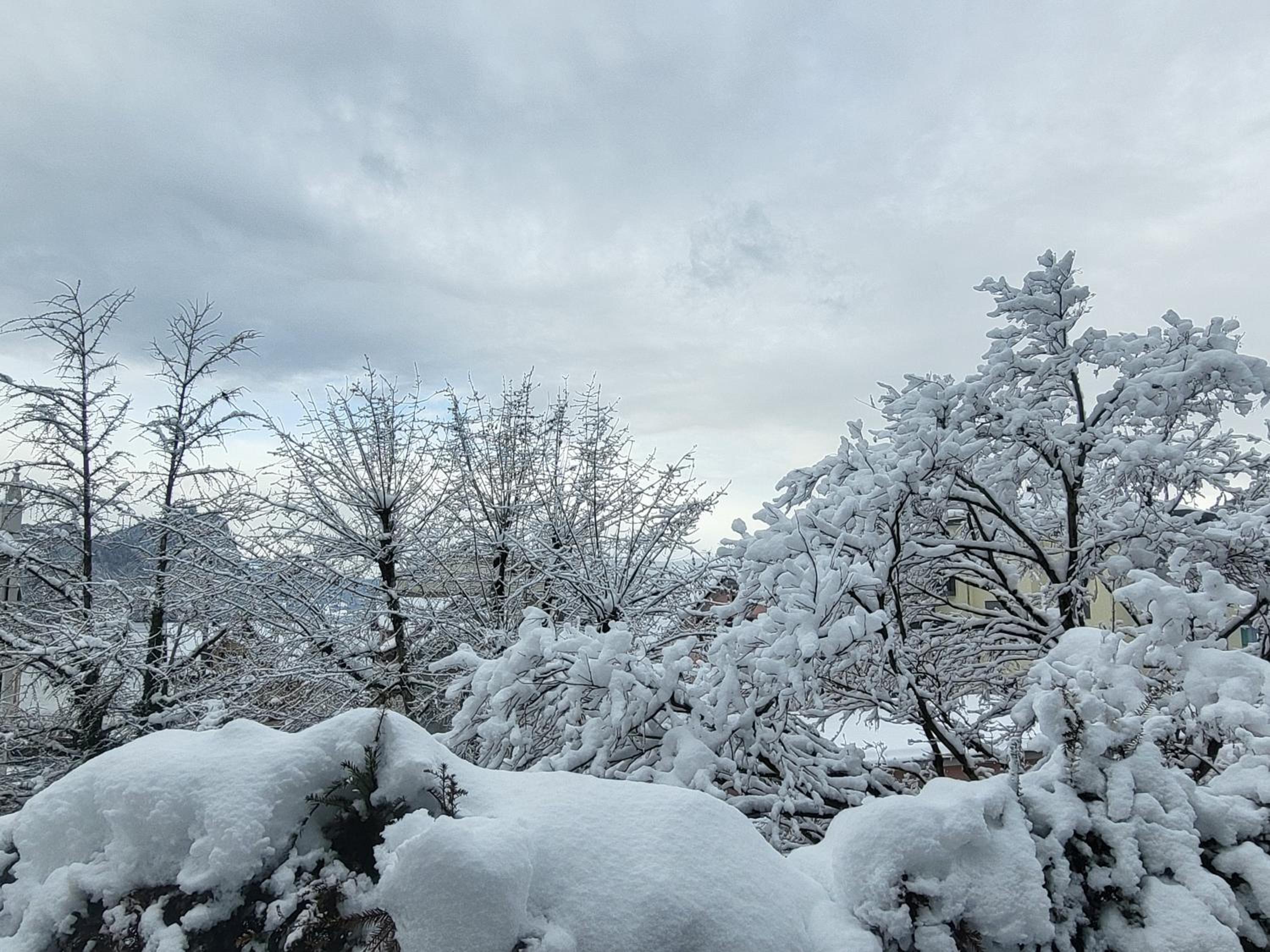 Rigi Paradise in Vitznau, Lake access, Ferry Terminal, Rigibahn, Restaurants all 2 minutes walking distance