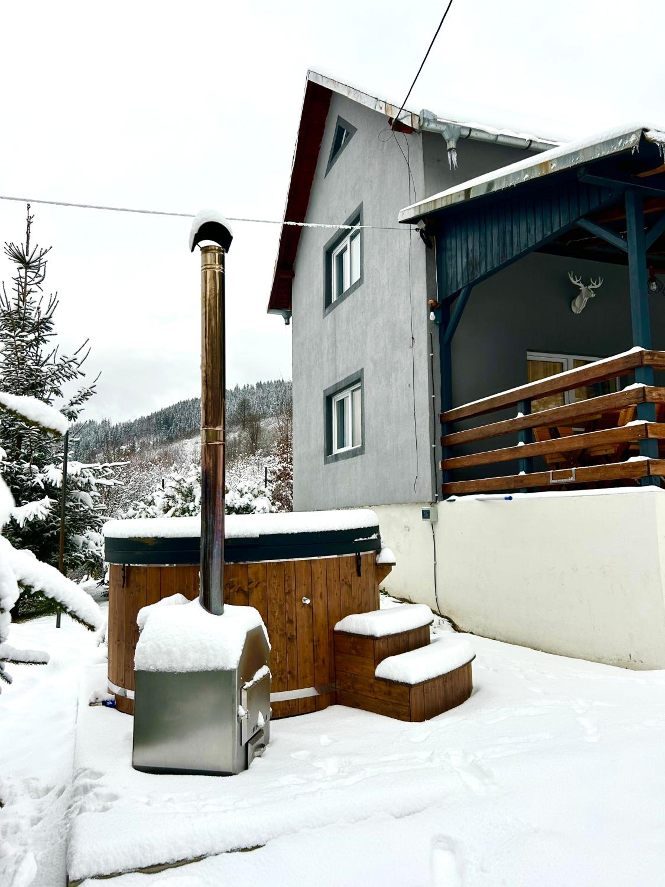 Cabana din Lunca view 2