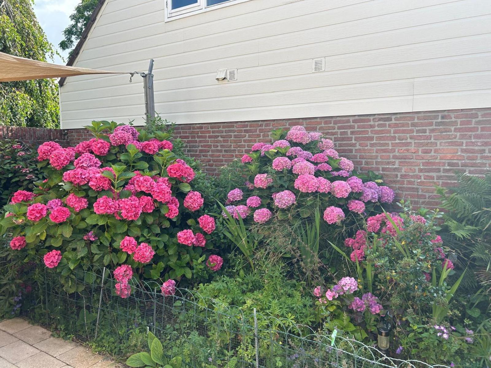 Huisje Bloemenzee