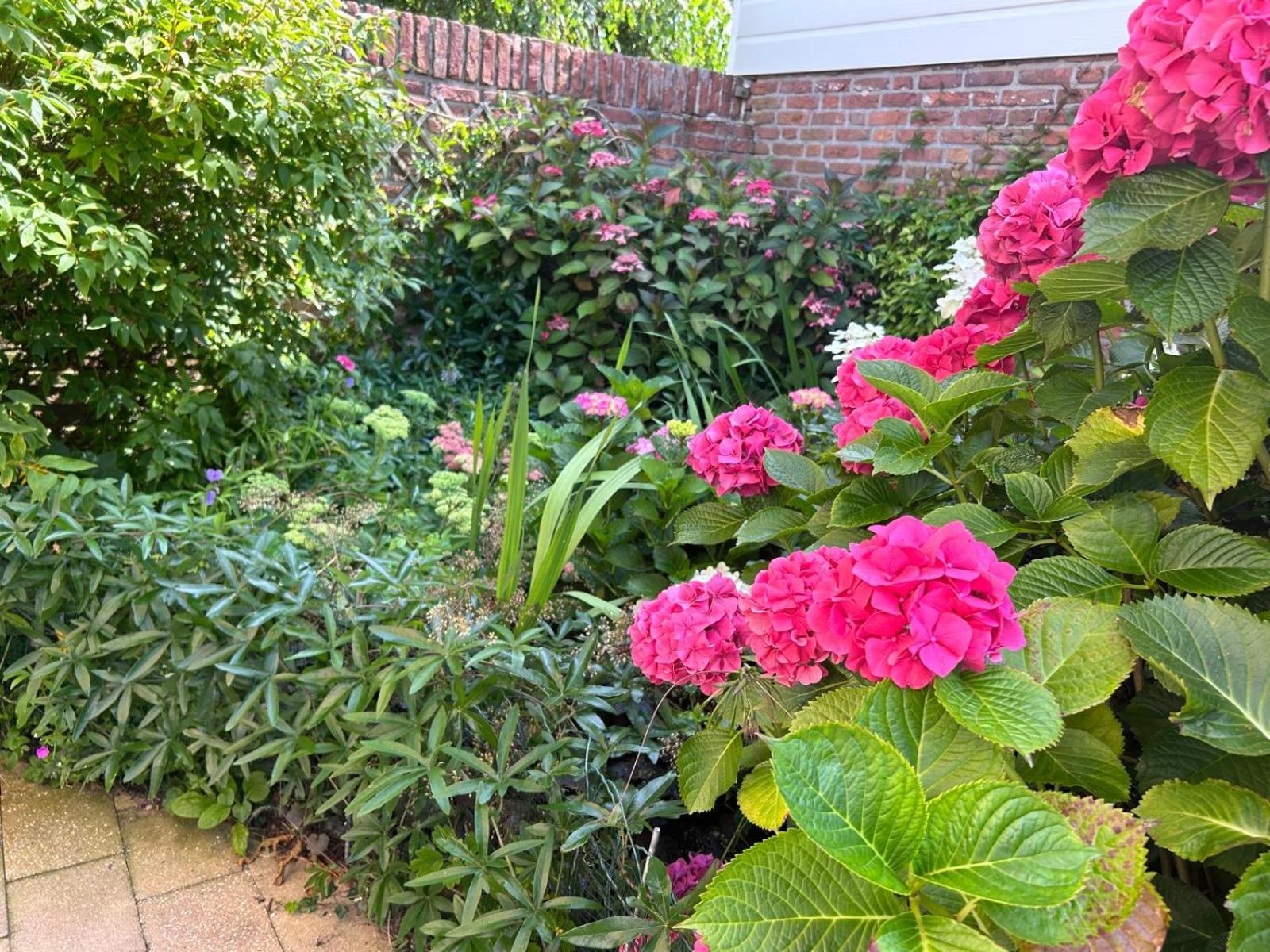Huisje Bloemenzee