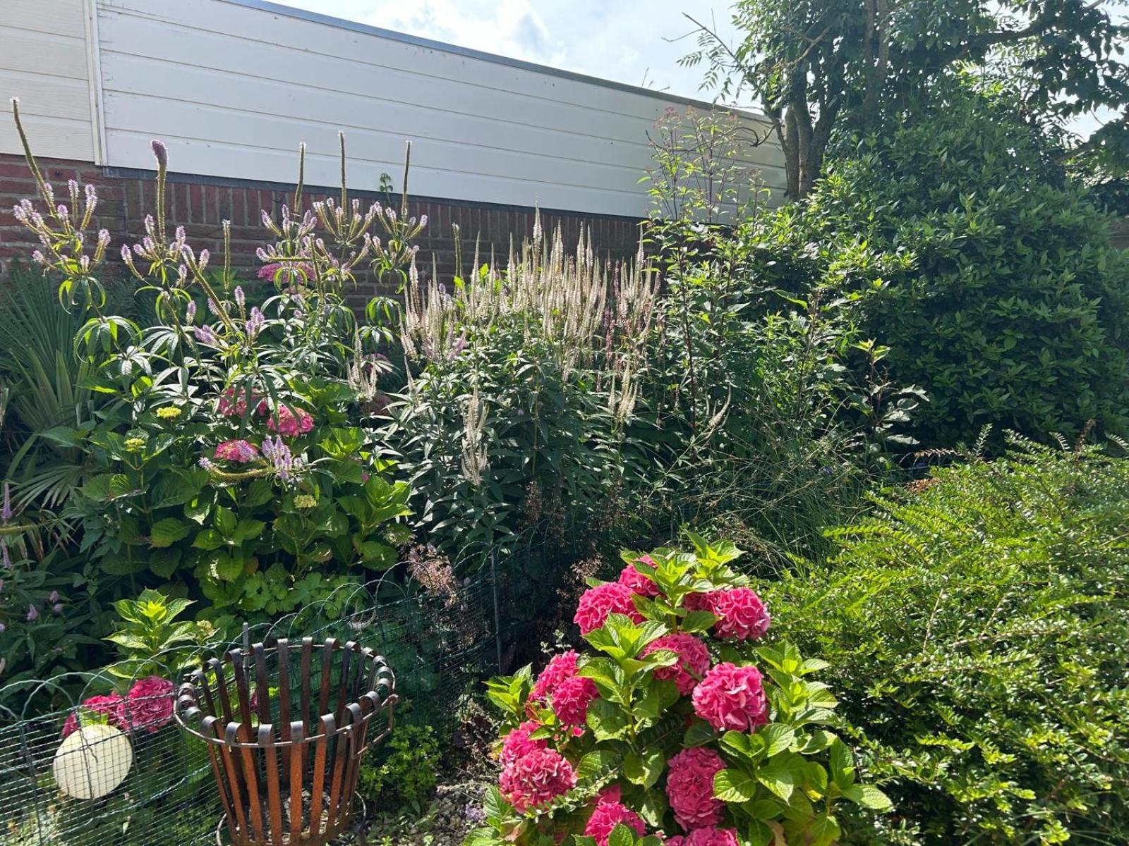Huisje Bloemenzee