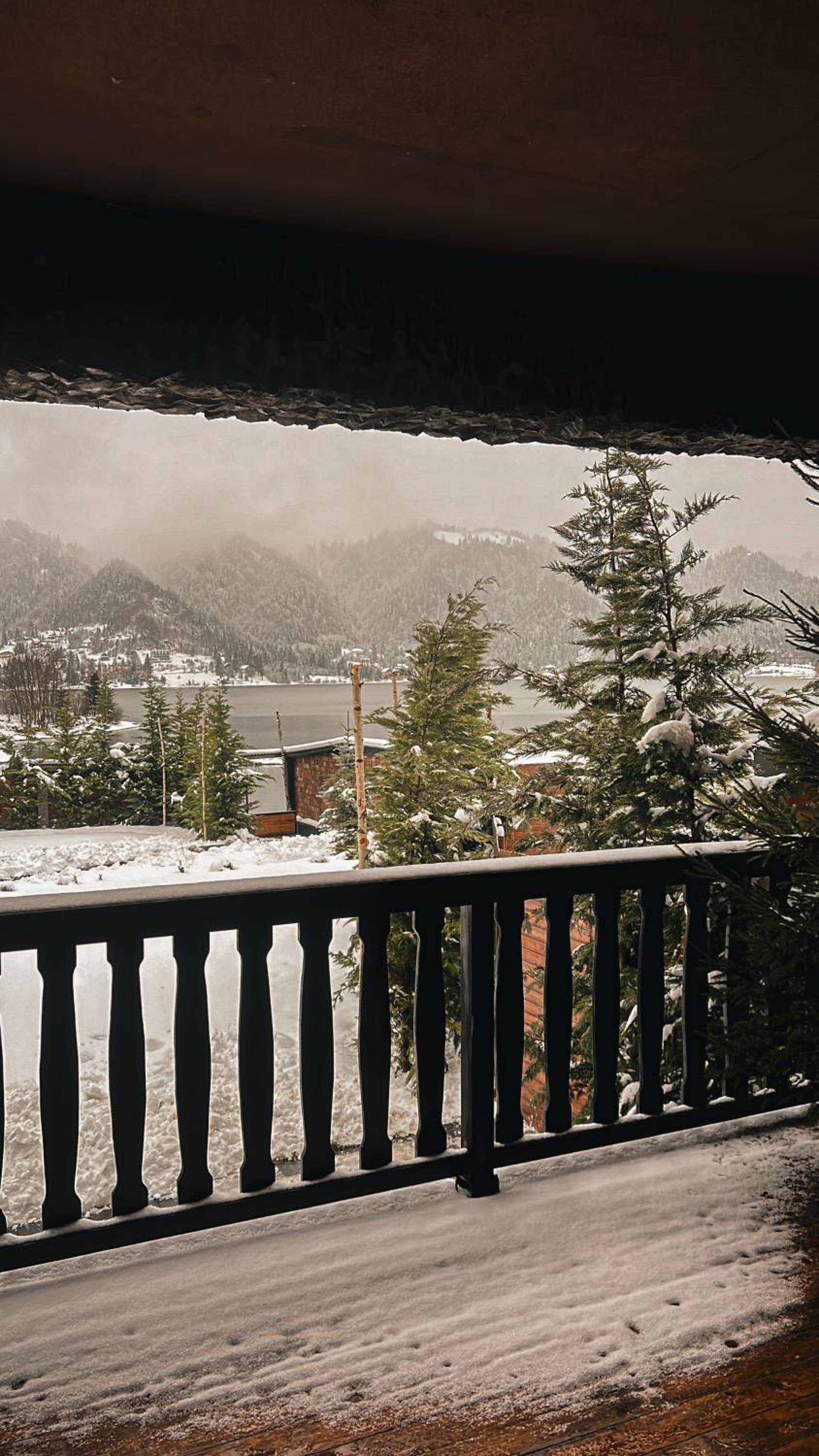 Cabana Colibița 2C1G view 4