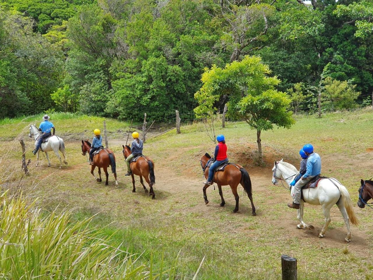Nambí Monteverde