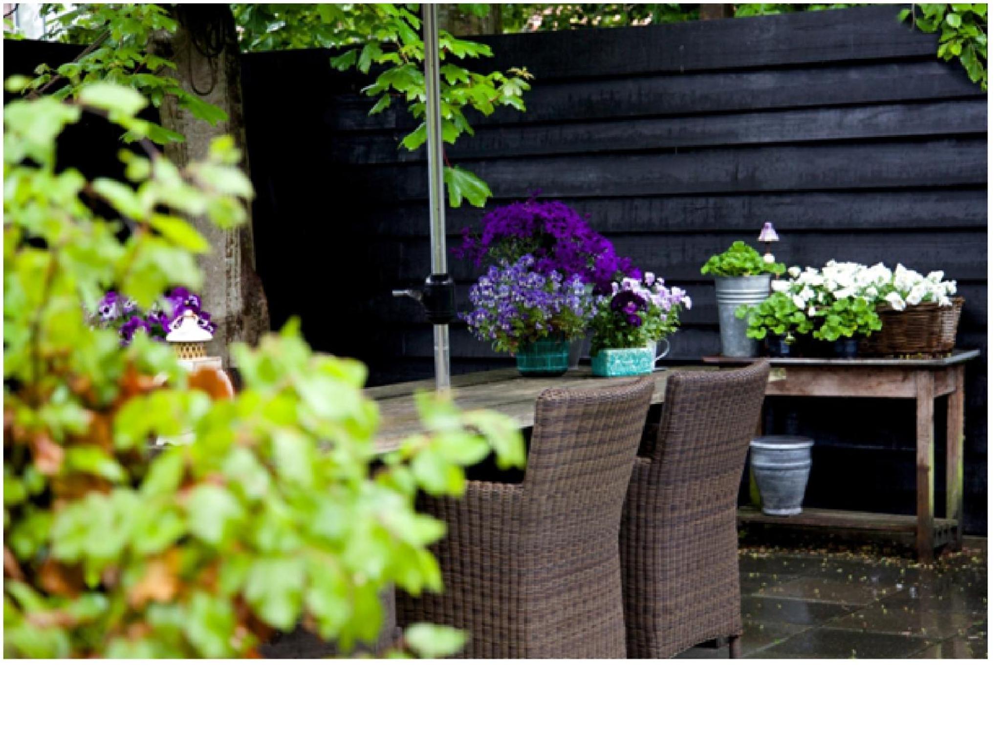 Logement-B&B Safier