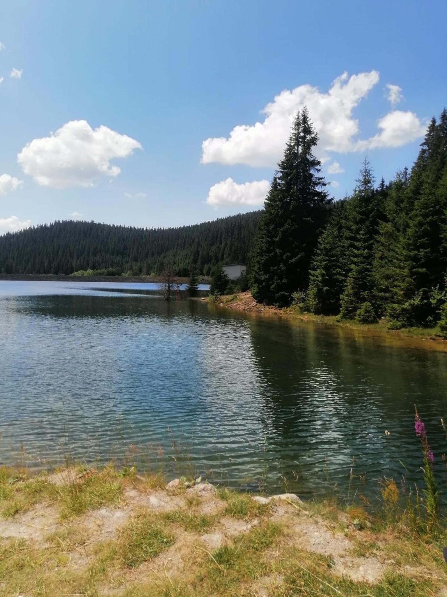 Спа,ски апартамент Дайли, Стрийм Ризорт Пампорово