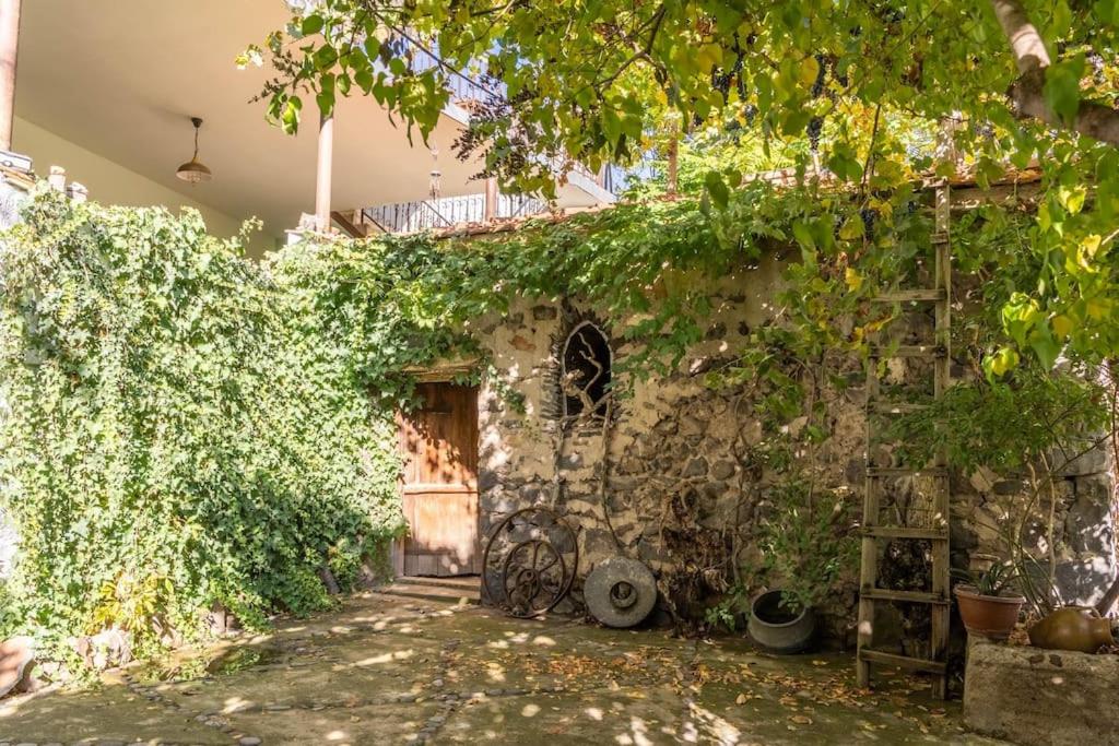 Guesthouse in the Art space