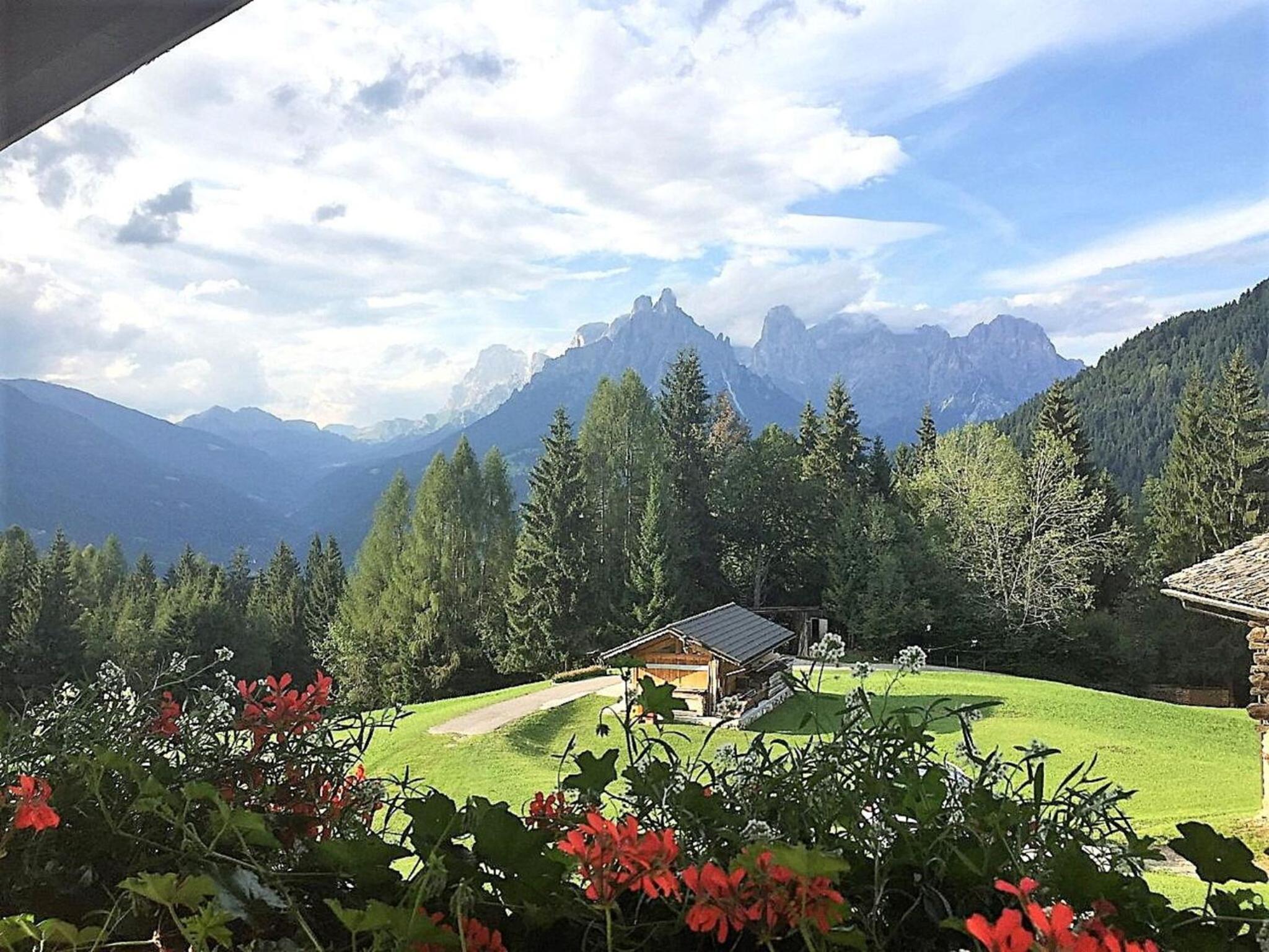 Baita Mountain View Pale San Martino view 2