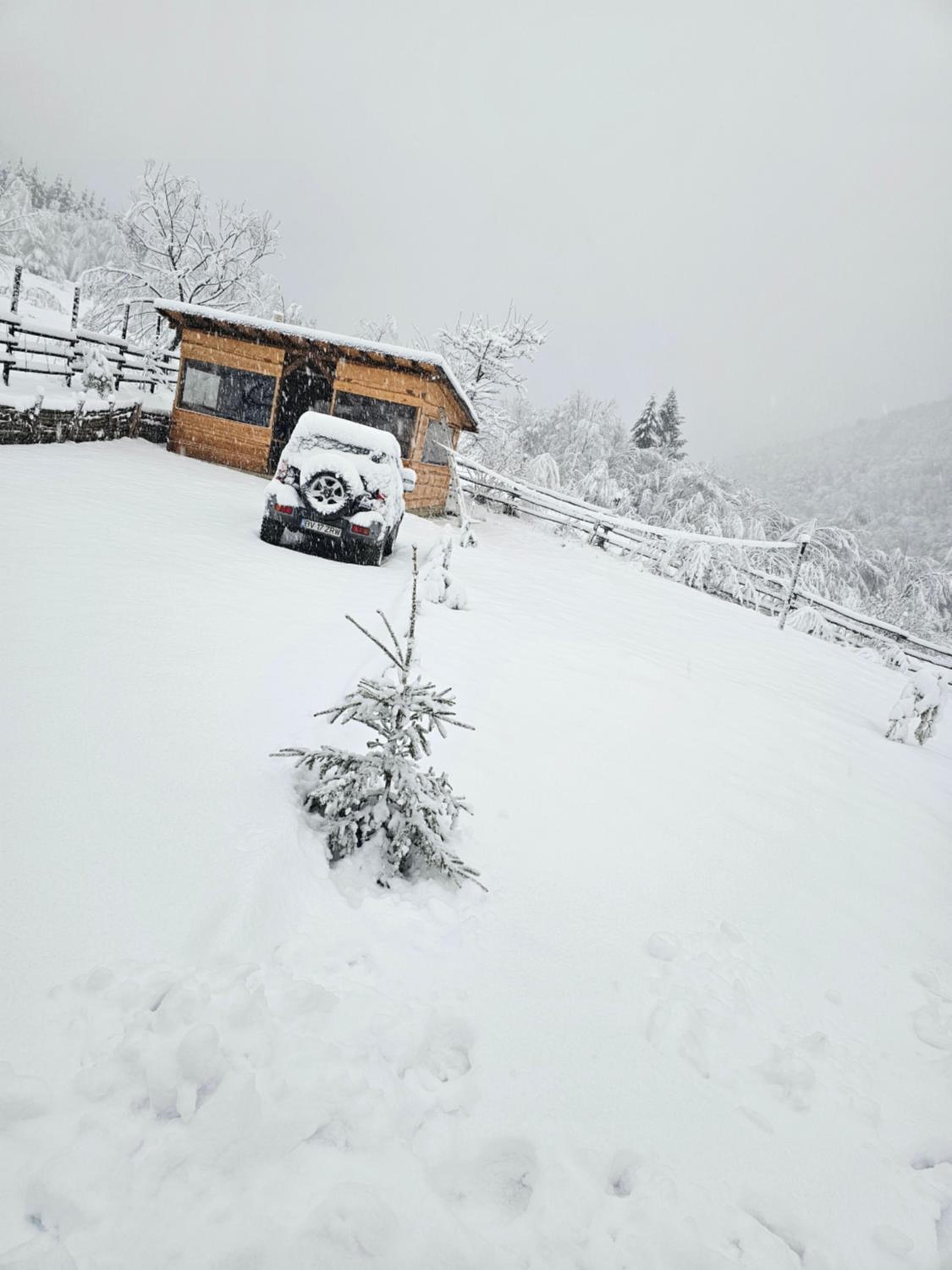 La Cabana lui Matei