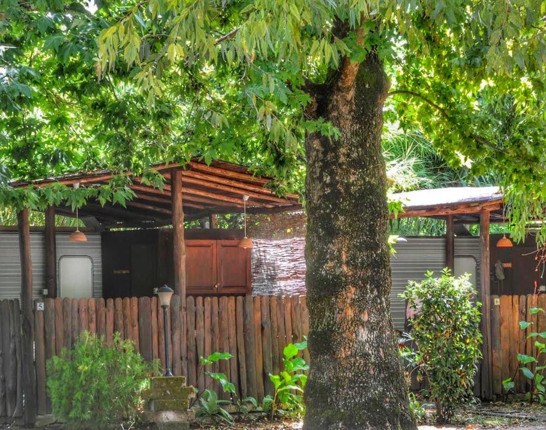 International Glamping Lago Di Bracciano