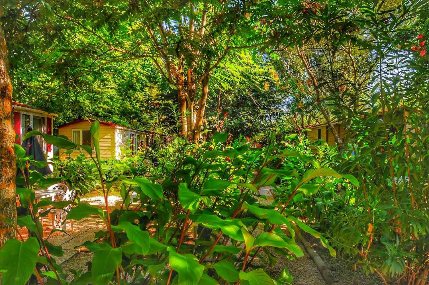 International Glamping Lago Di Bracciano