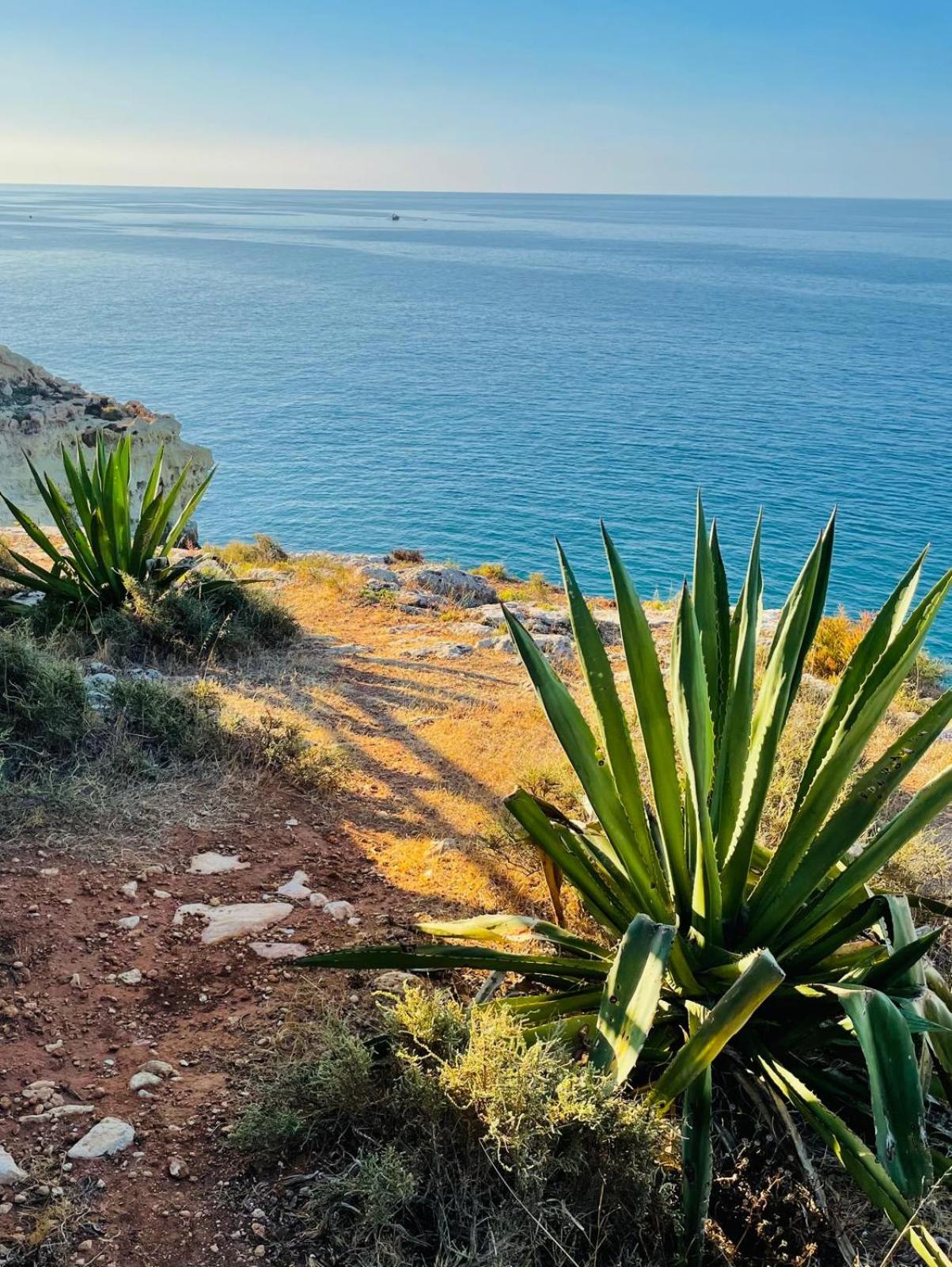 Carvoeiro Vacations - Ruhiges Strandhaus Carvoeiro, Casa Trevo - Property Image 4