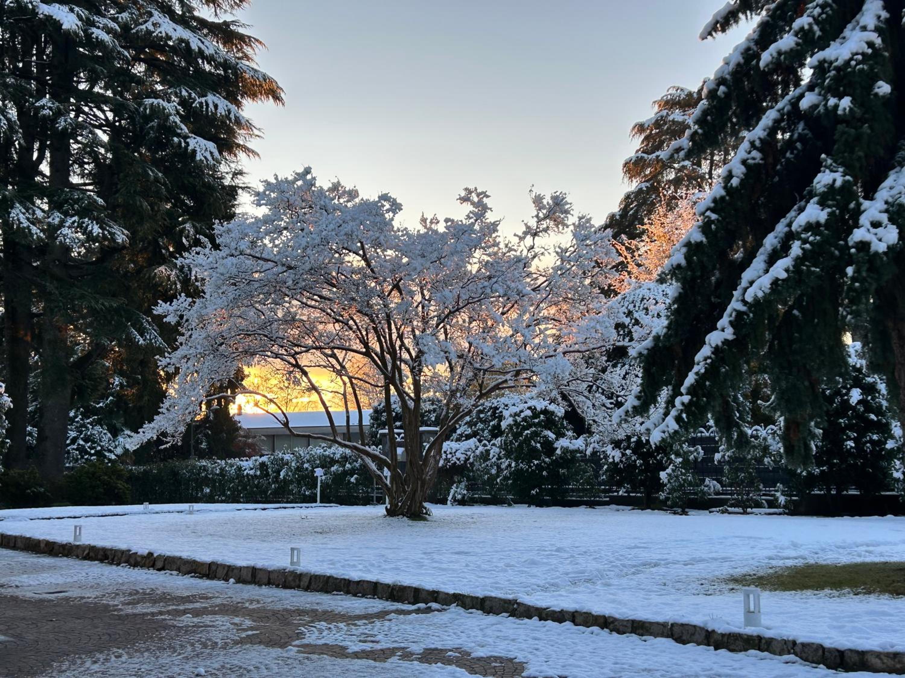 Villa Marchese Lake Maggiore view 2