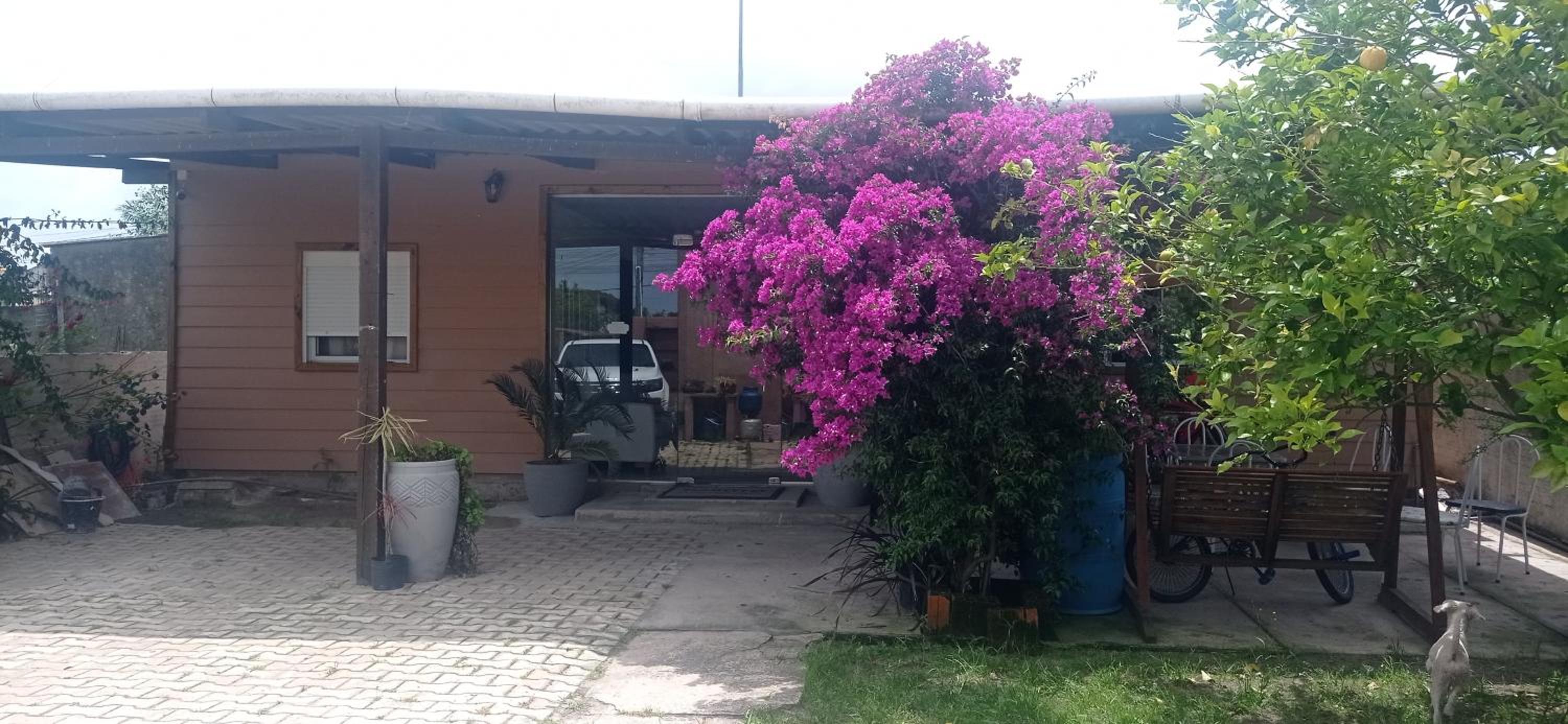 Gaboto, solo se reserva con sena , entrar en contacto view 2