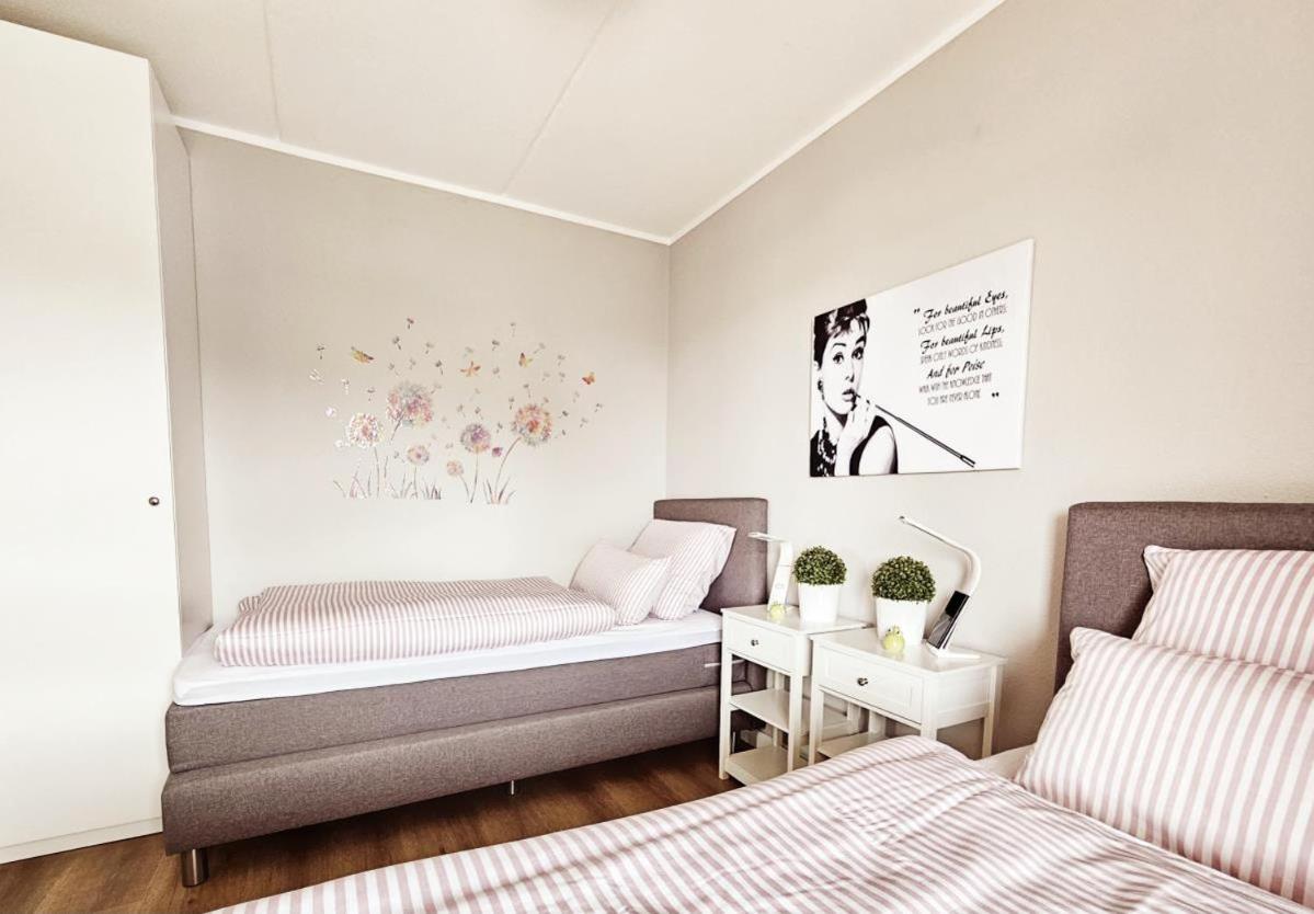 Inselloft 60 Ameland für bis zu 4 Personen - Haustiere herzlich willkommen, strandnah view 3