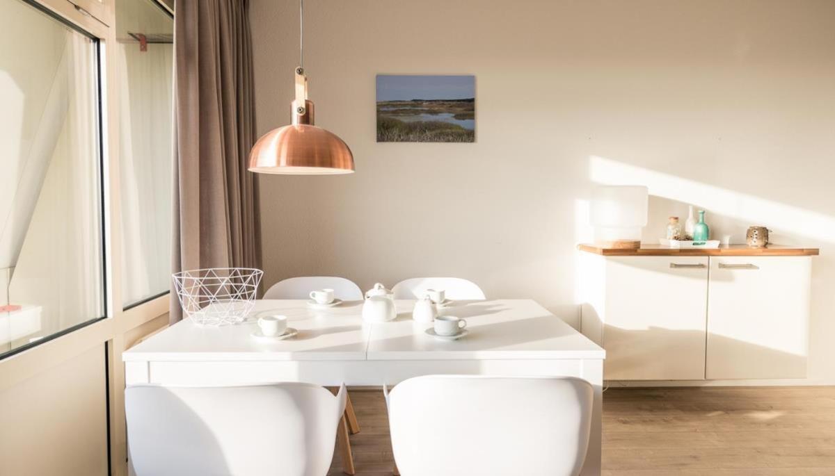 Waddenzicht 71 Ameland - tolle FerienwWohnung mit großer Dachterrasse für bis zu 4 Personen - Haustiere herzlich willkommen, strandnah view 5