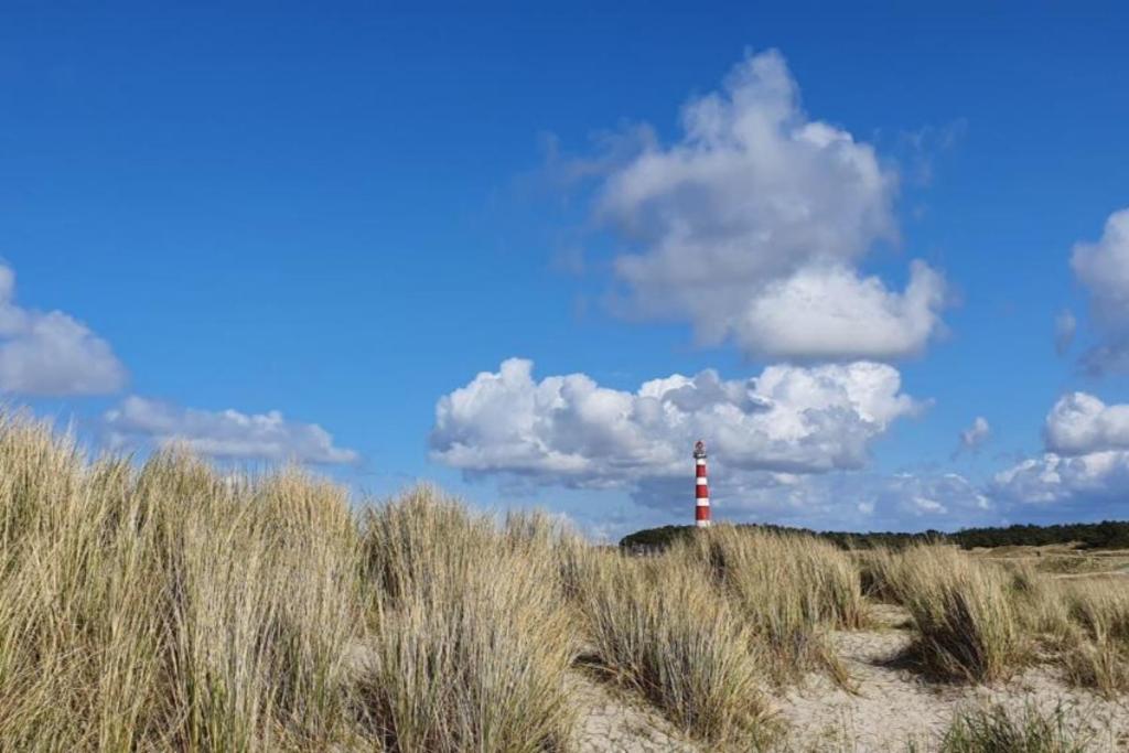 Zonzijde 76 Ameland - tolle und sehr geschmackvoll eingerichtete Wohnung für bis zu 5 Personen - nach Süden ausgerichtet view 4
