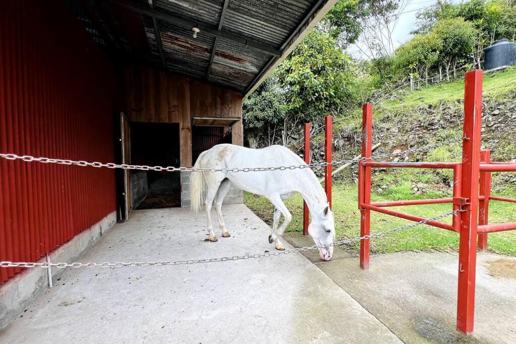 Cabaña La Finca
