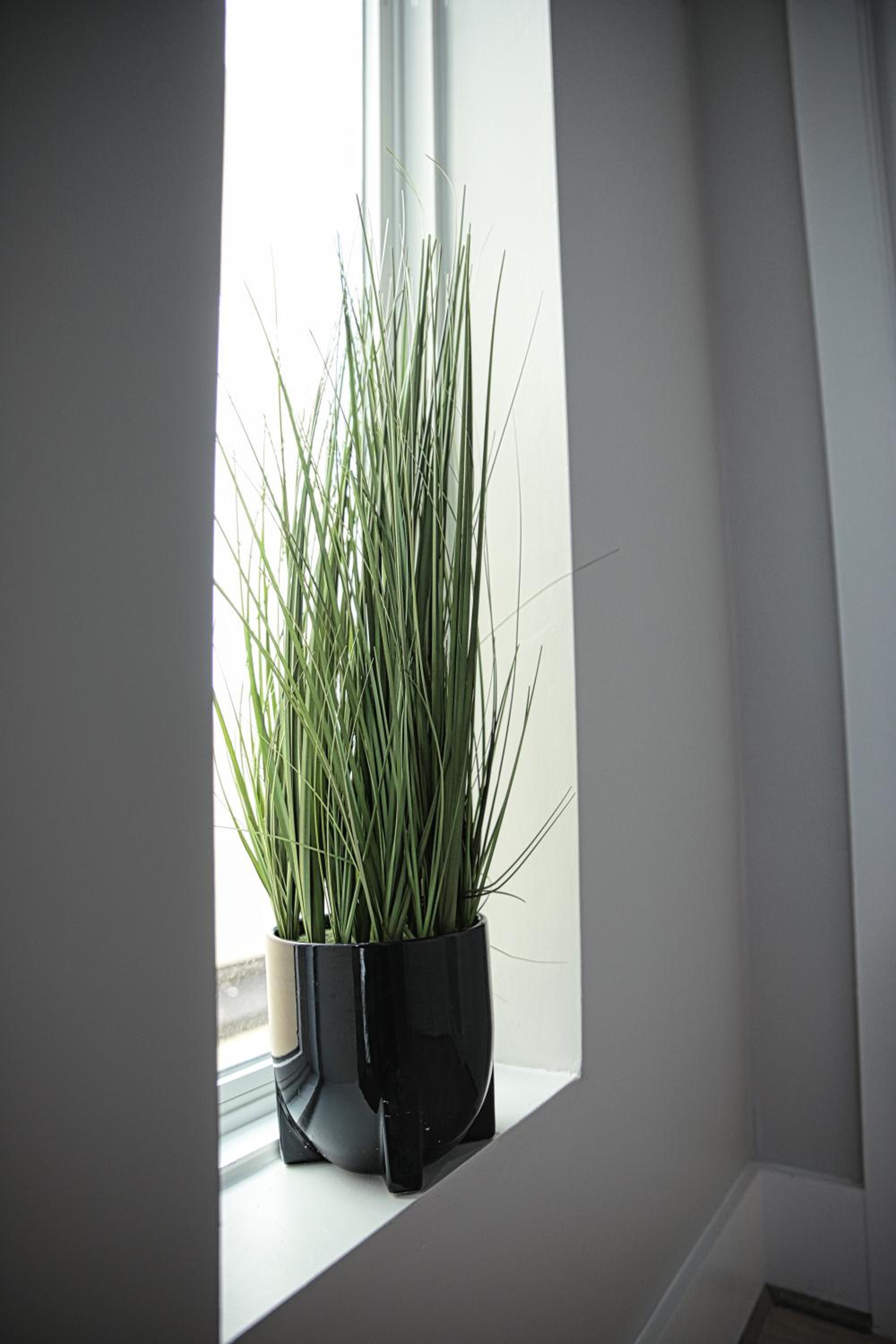 Photo 37