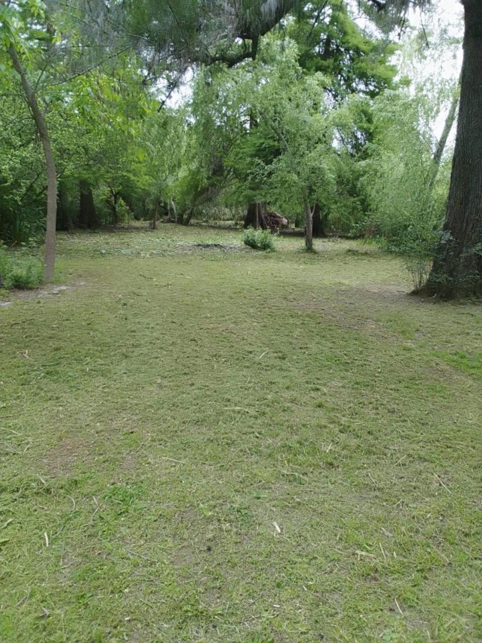 Delta Zen 2