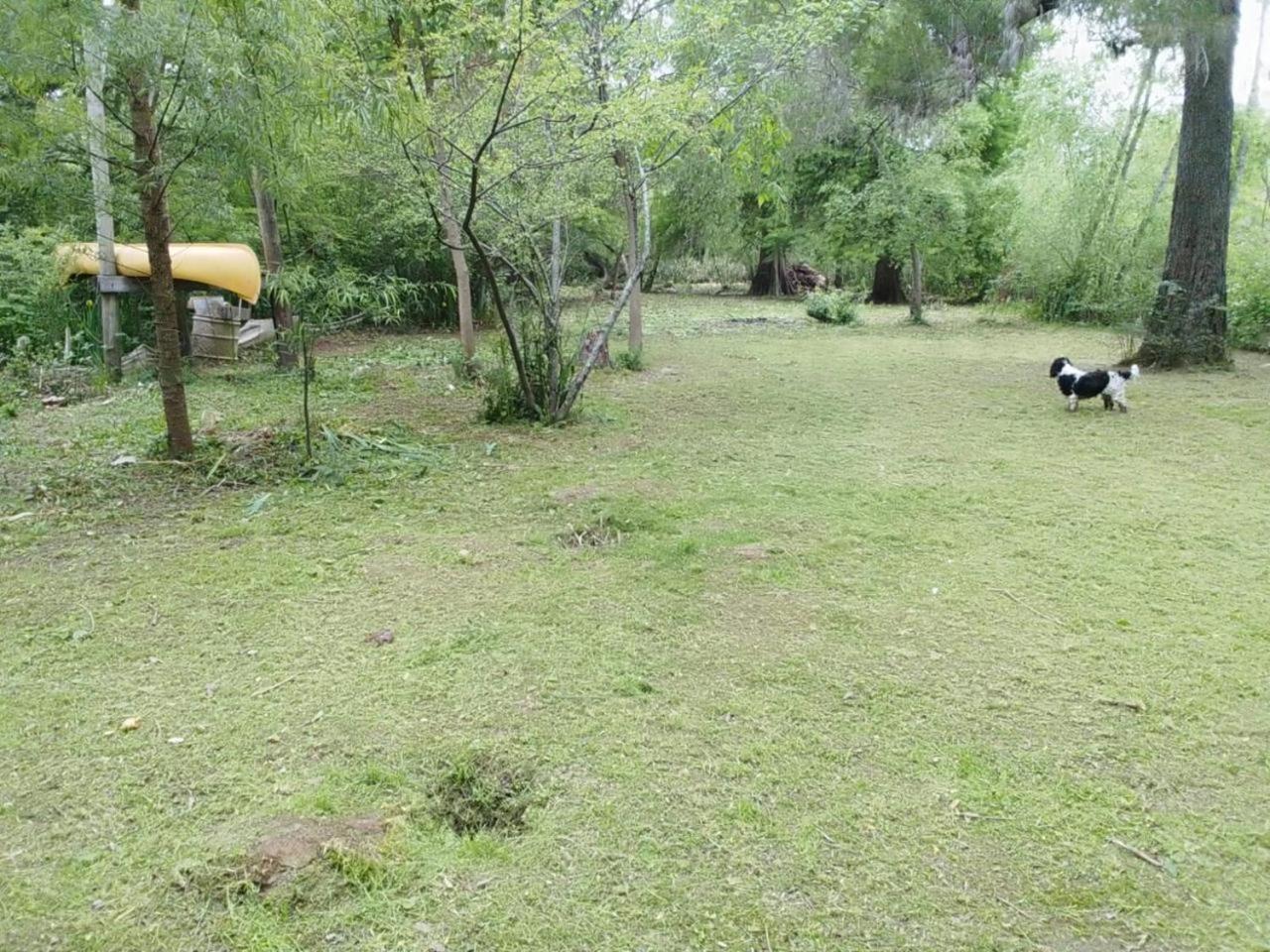 Delta Zen 2