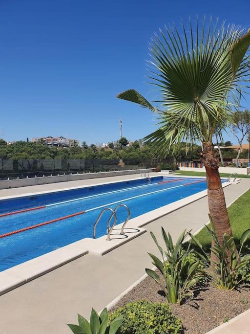Luna Holiday Apartments