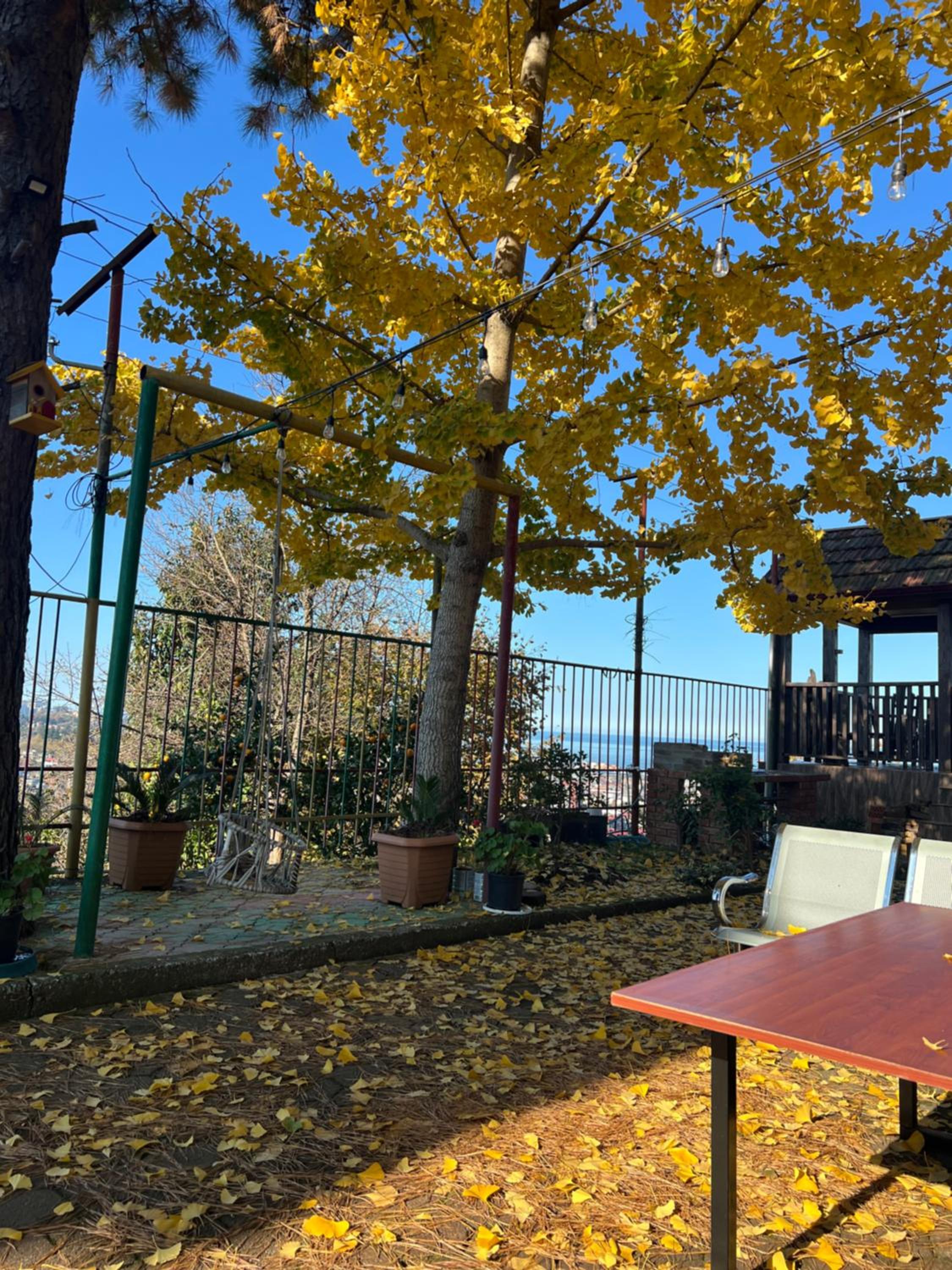 GT House Batumi view 5