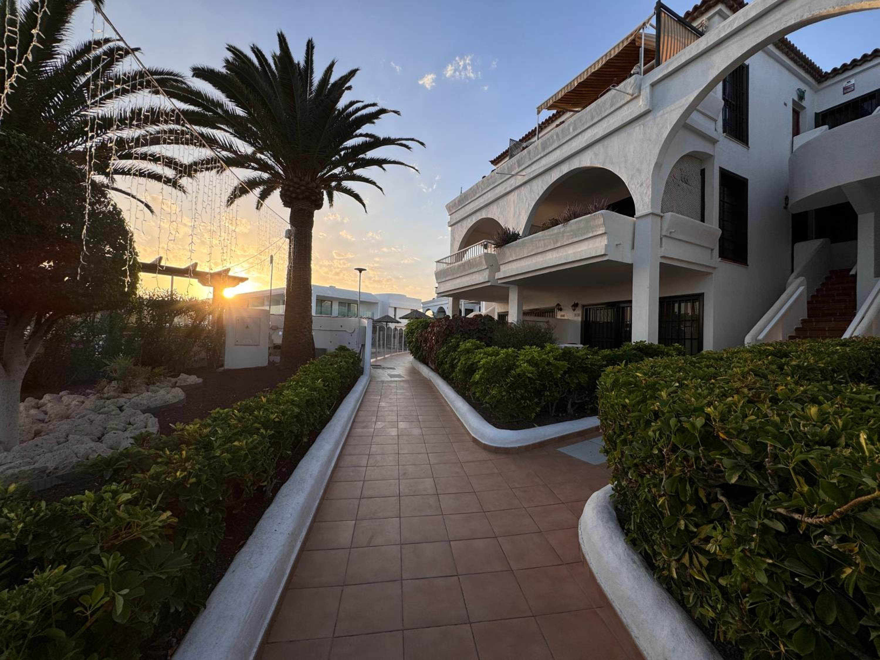 Amarilla Golf Scorpio