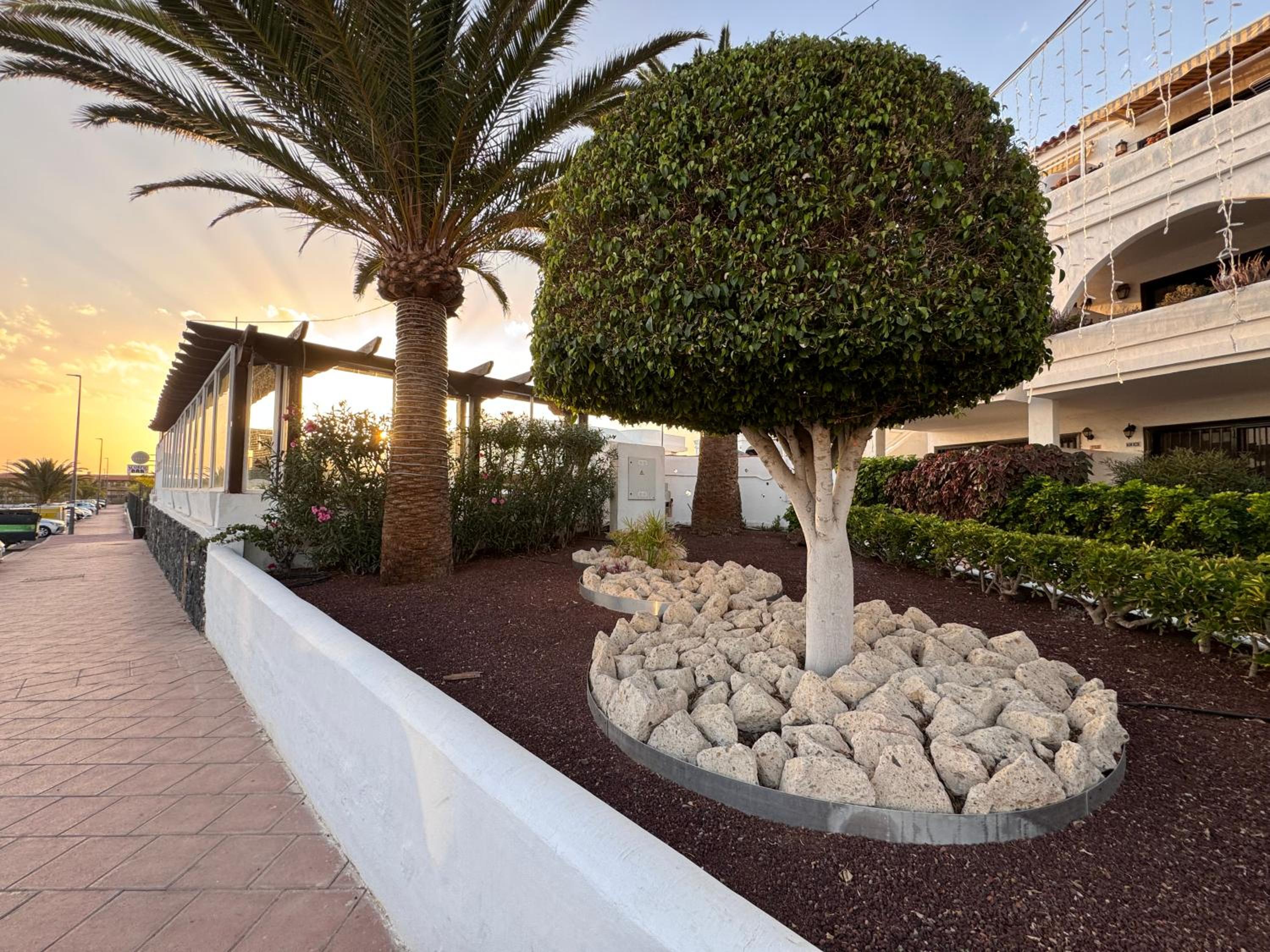 Amarilla Golf Scorpio