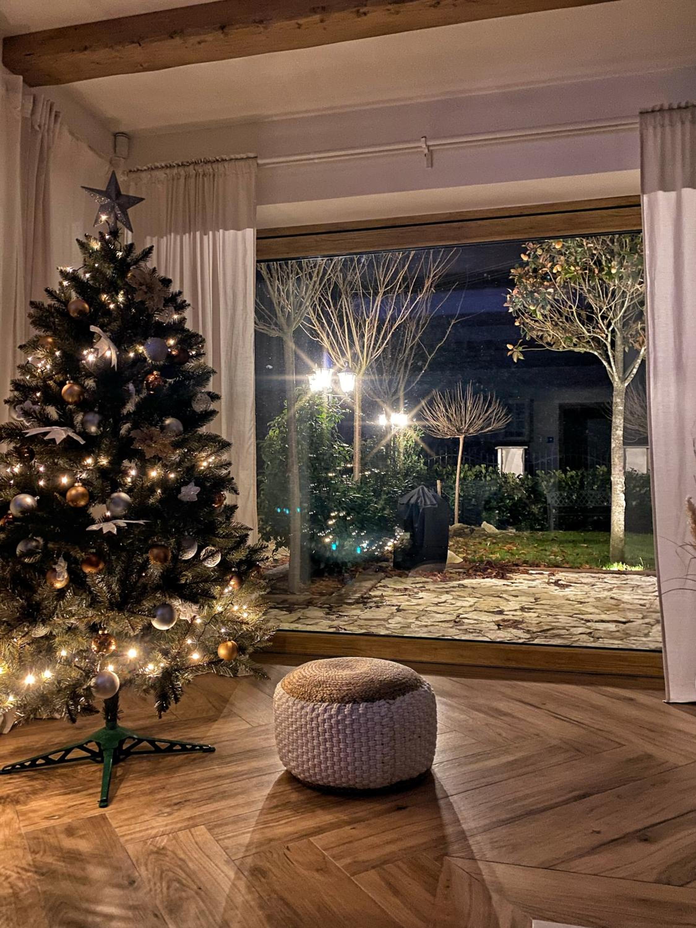 Treestudio Apartment