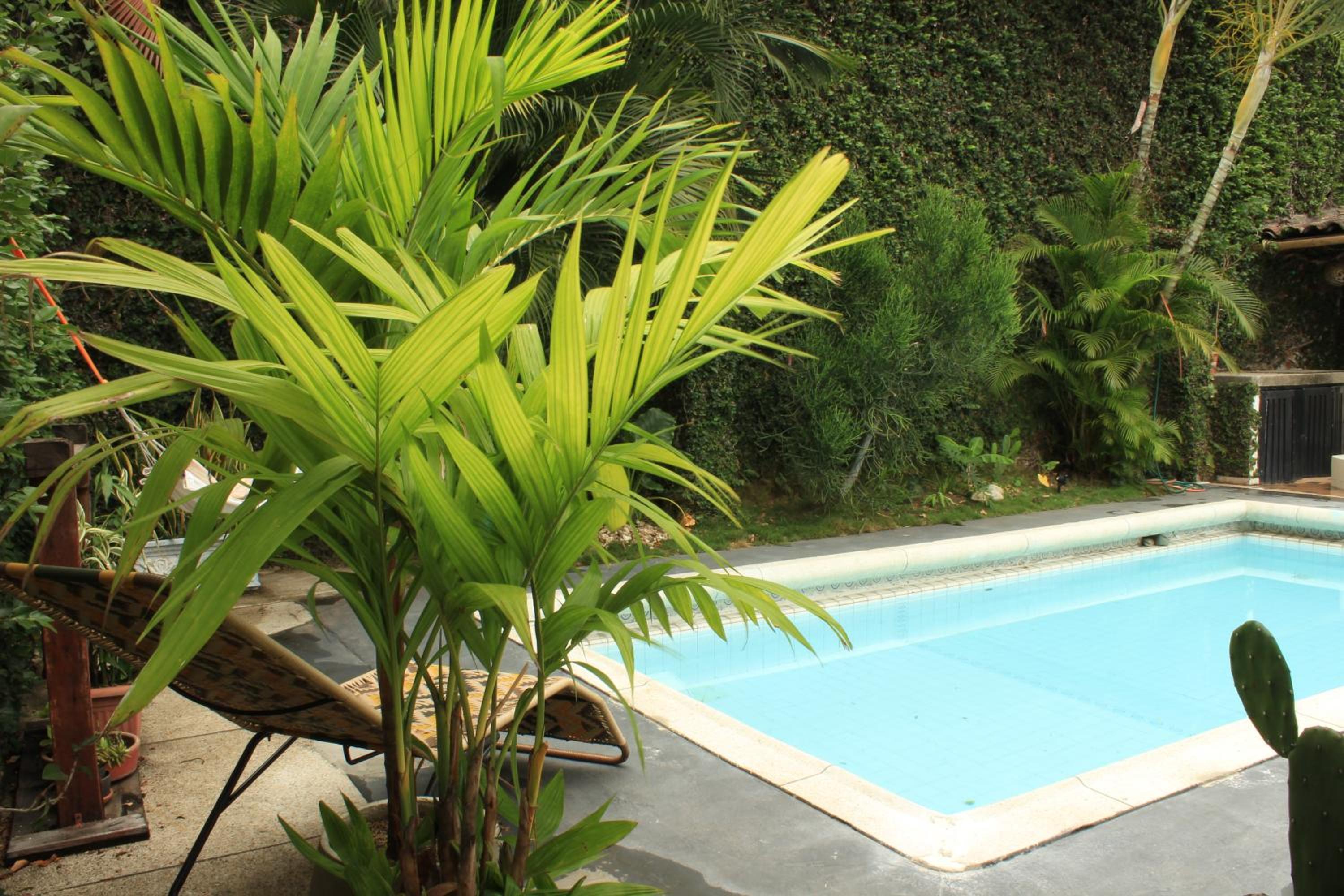 Timeless Oasis Hostel