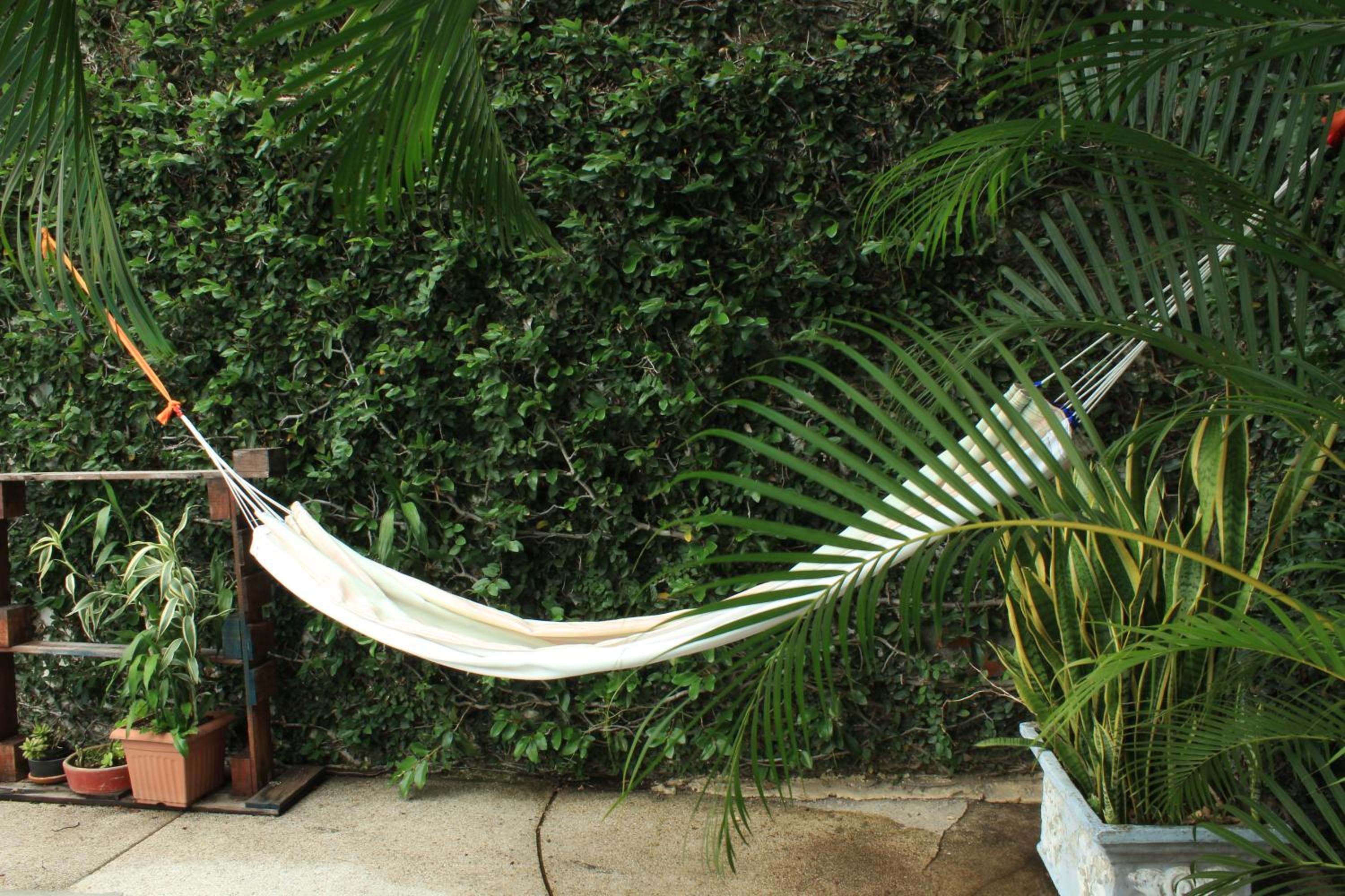 Timeless Oasis Hostel