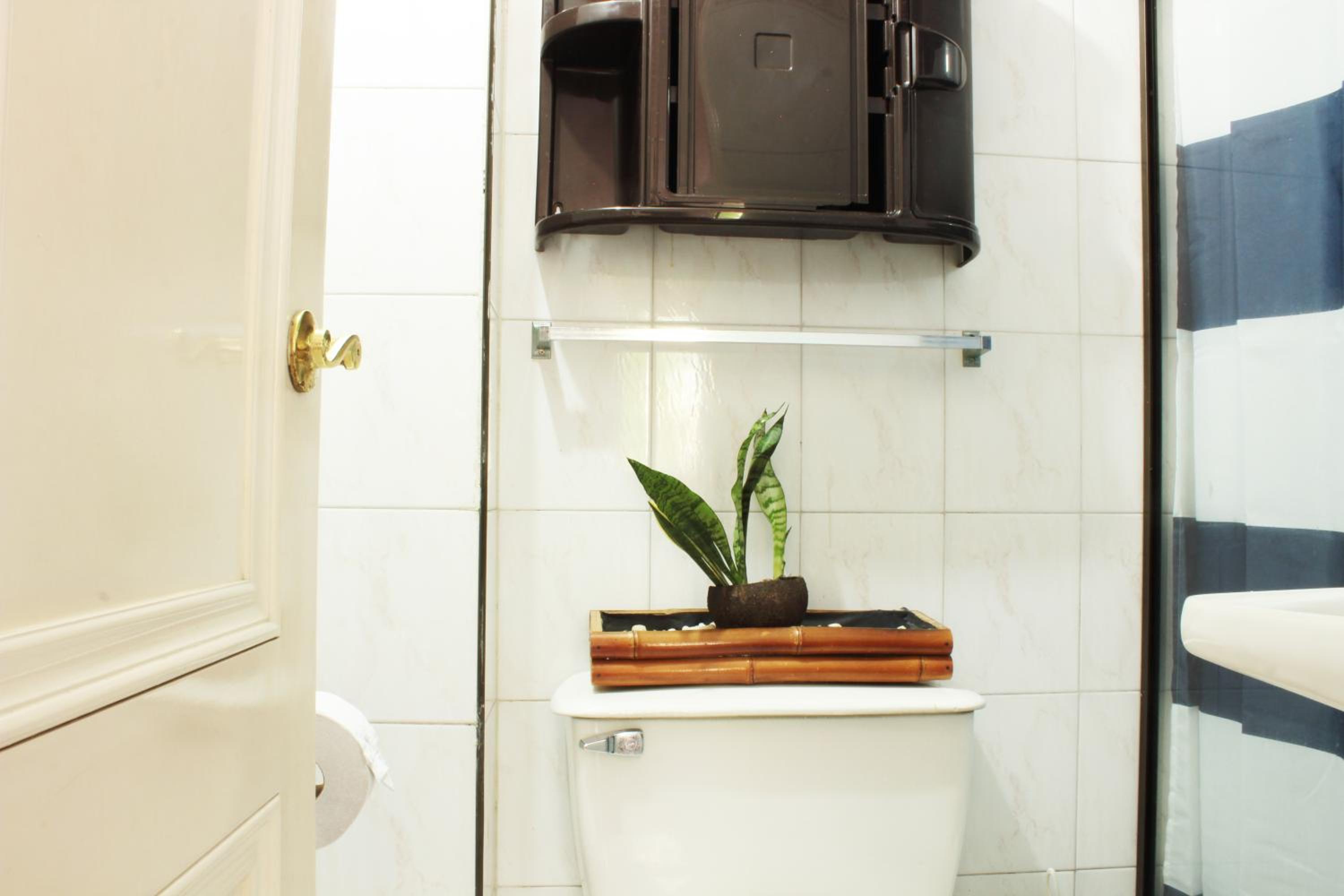 Timeless Oasis Hostel