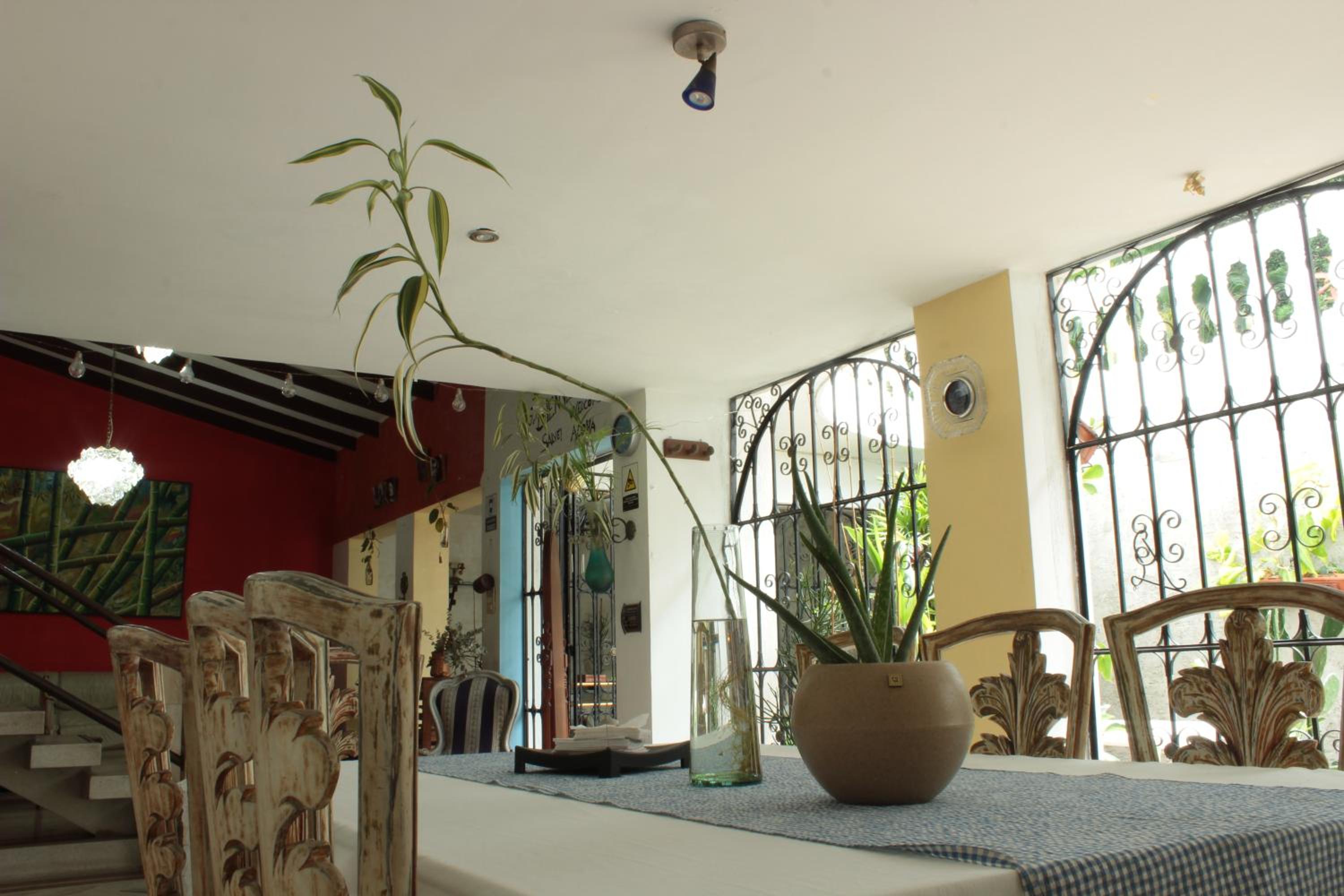 Timeless Oasis Hostel