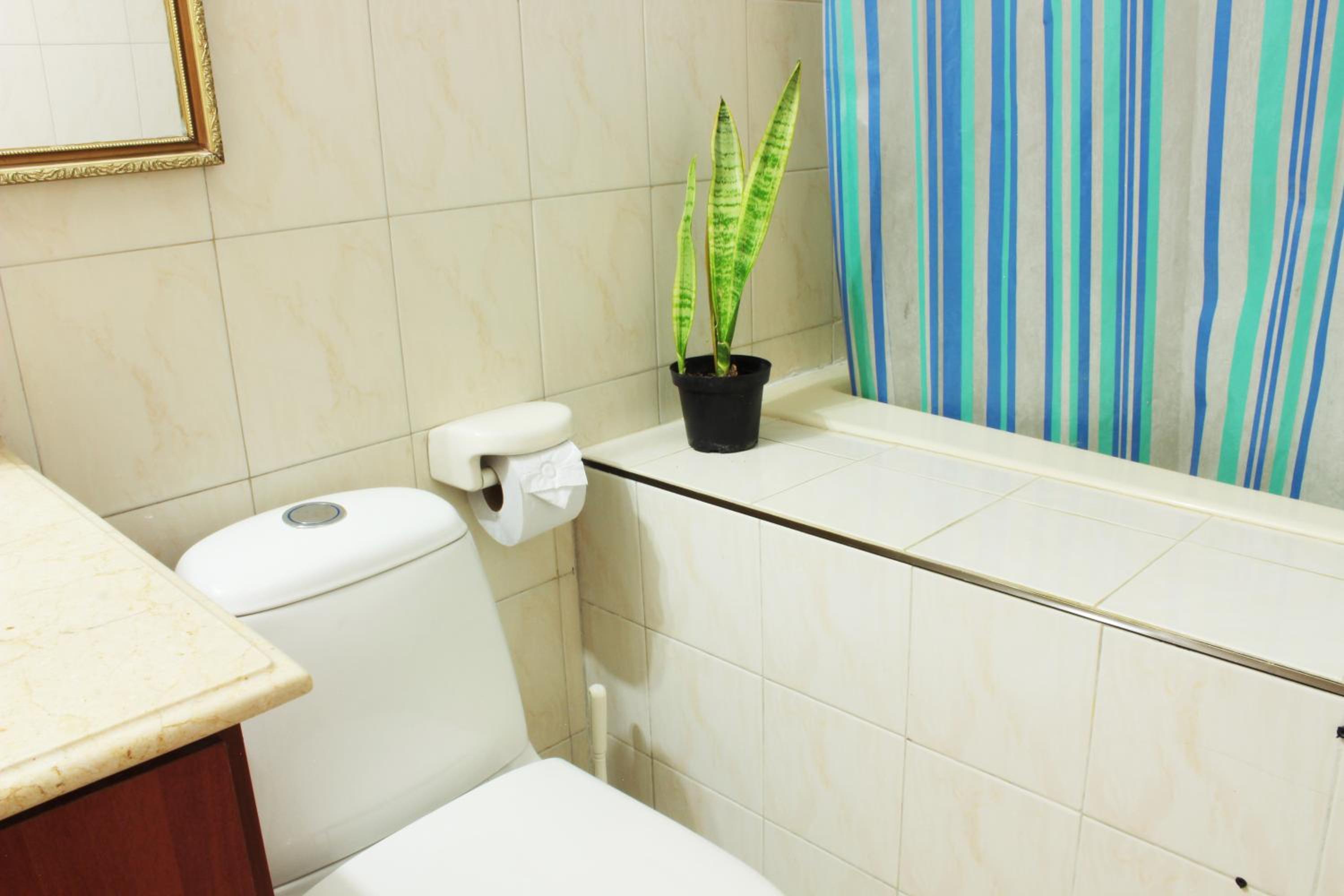 Timeless Oasis Hostel