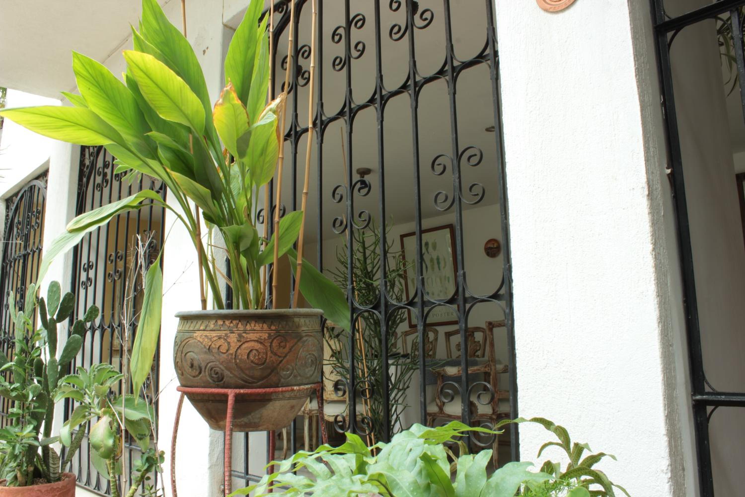 Timeless Oasis Hostel